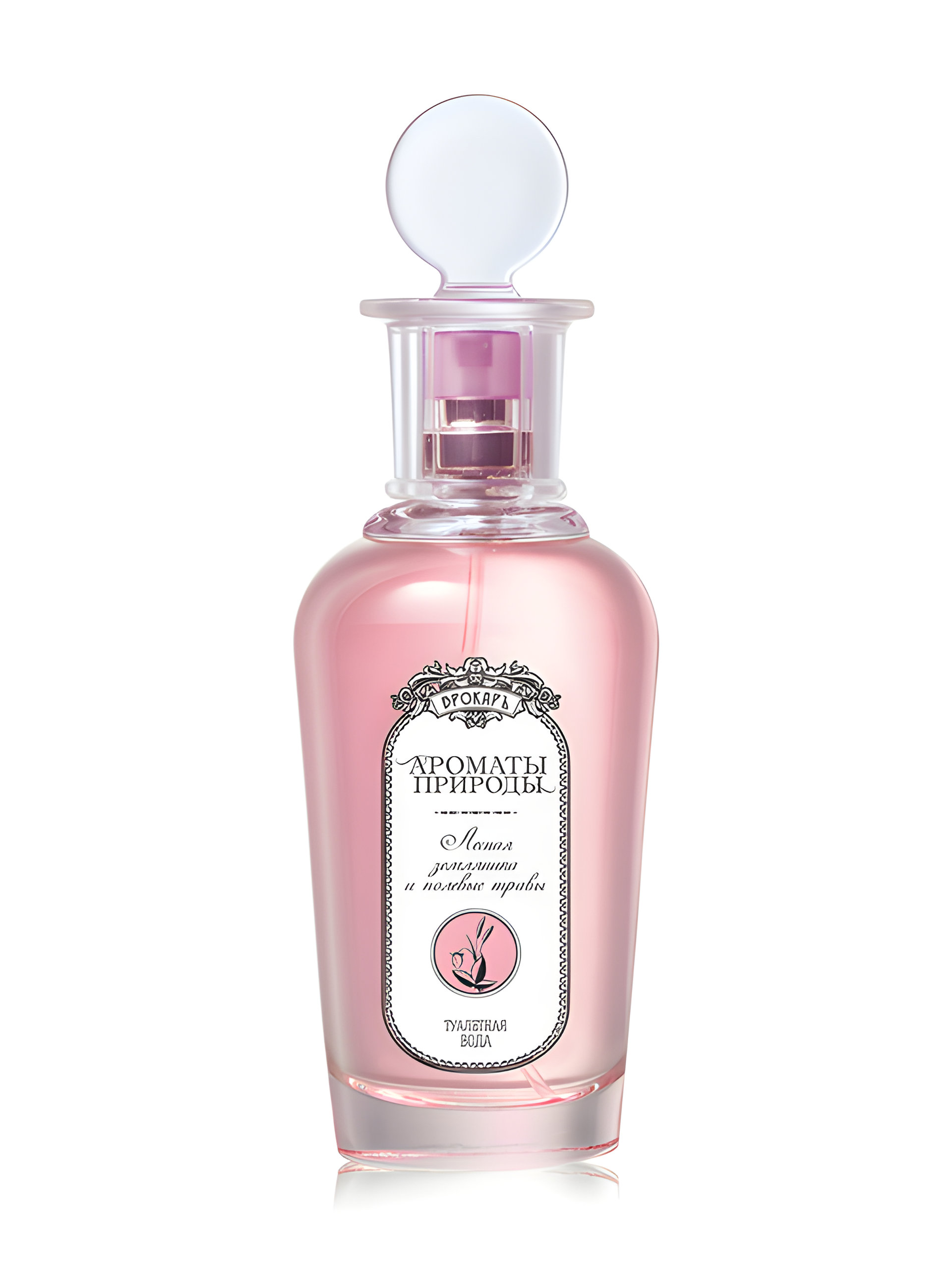 Picture of Лесная Земляника И Полевые Травы - Wild Strawberry and Herbs fragrance