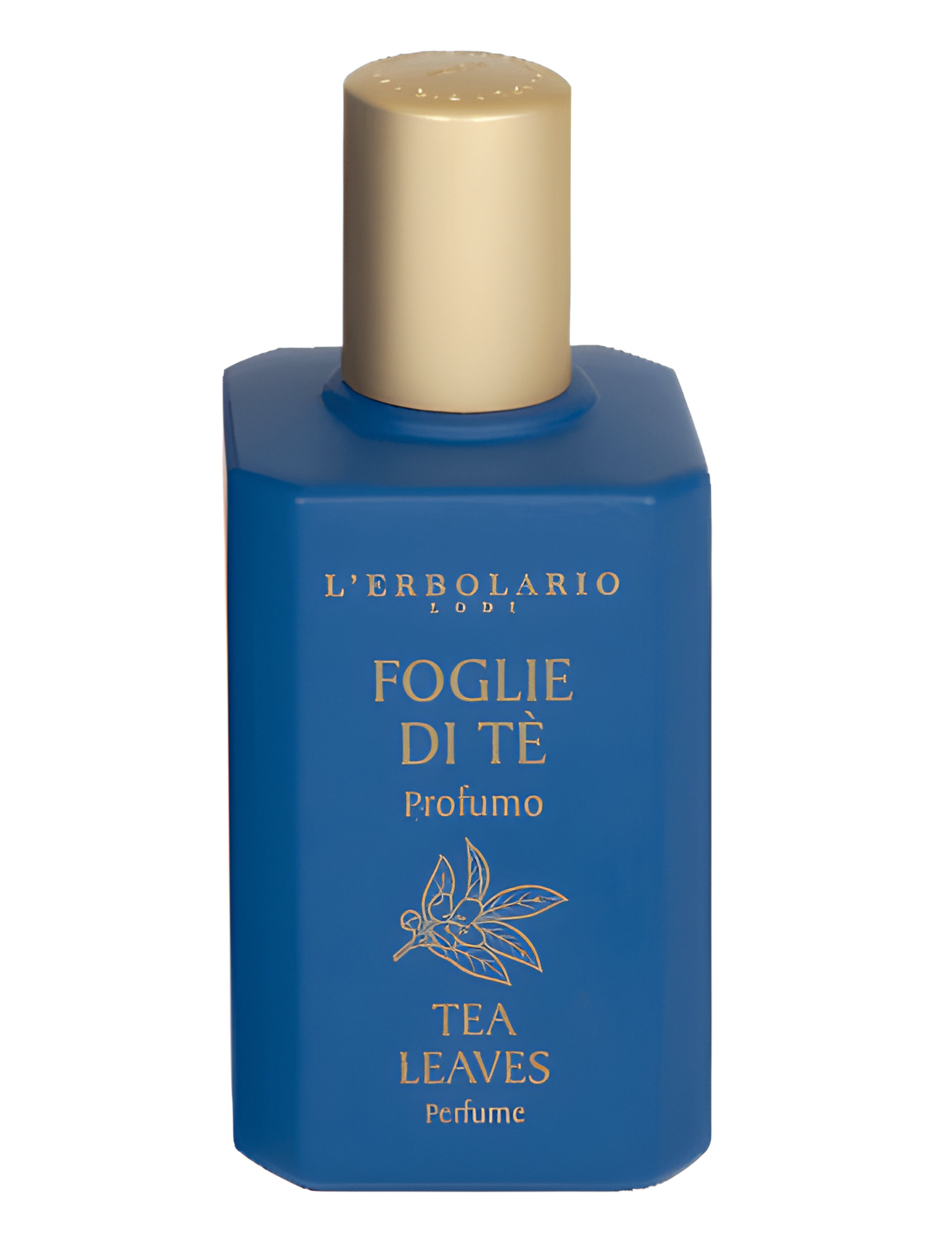 Picture of Foglie Di Tè fragrance