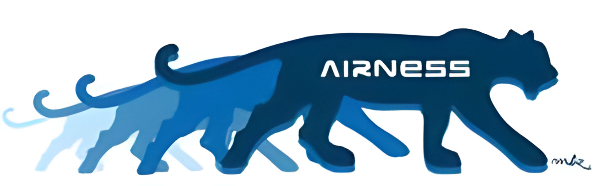 Picture of Airness brand