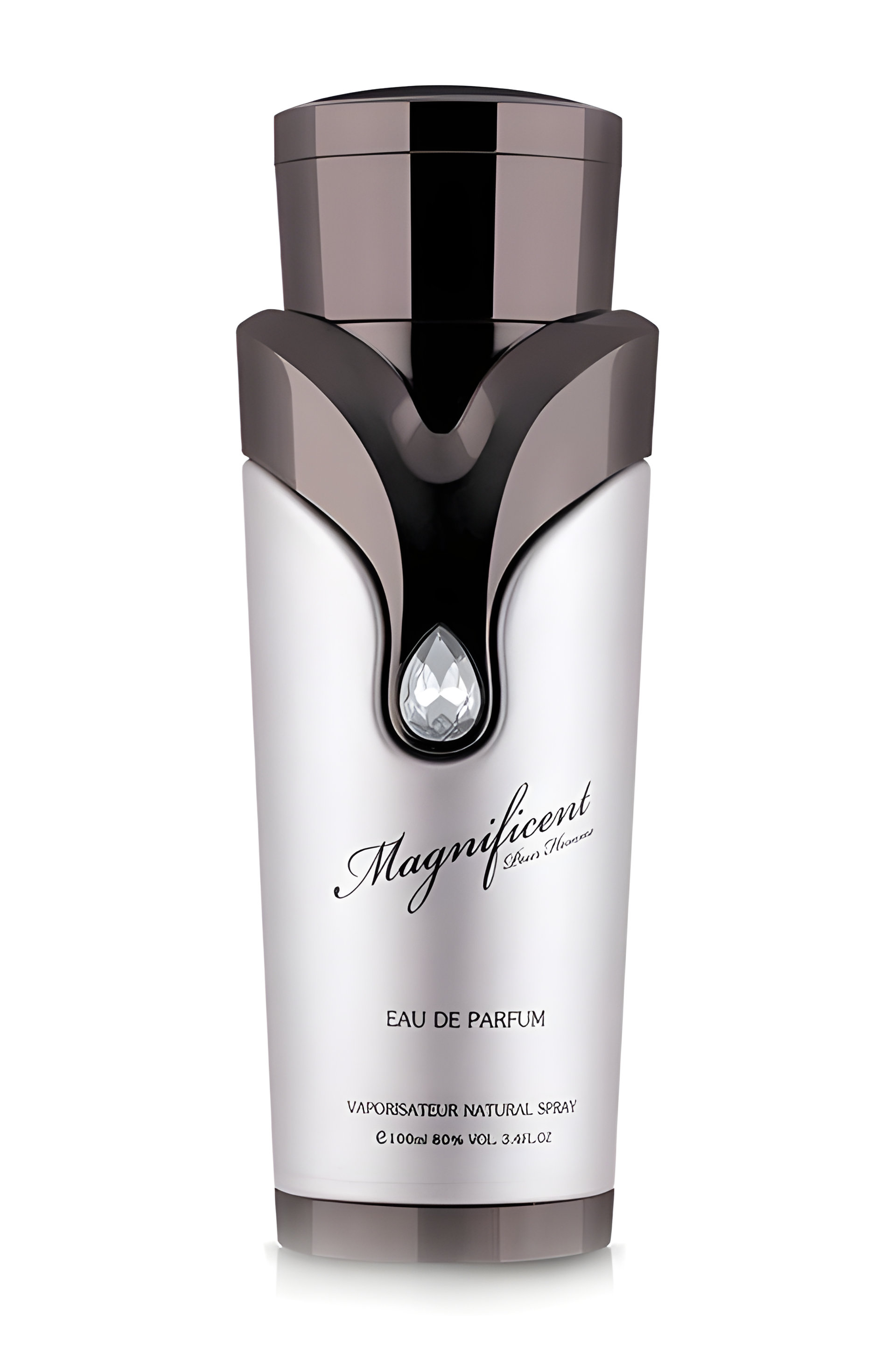 Picture of Magnificent Pour Homme fragrance