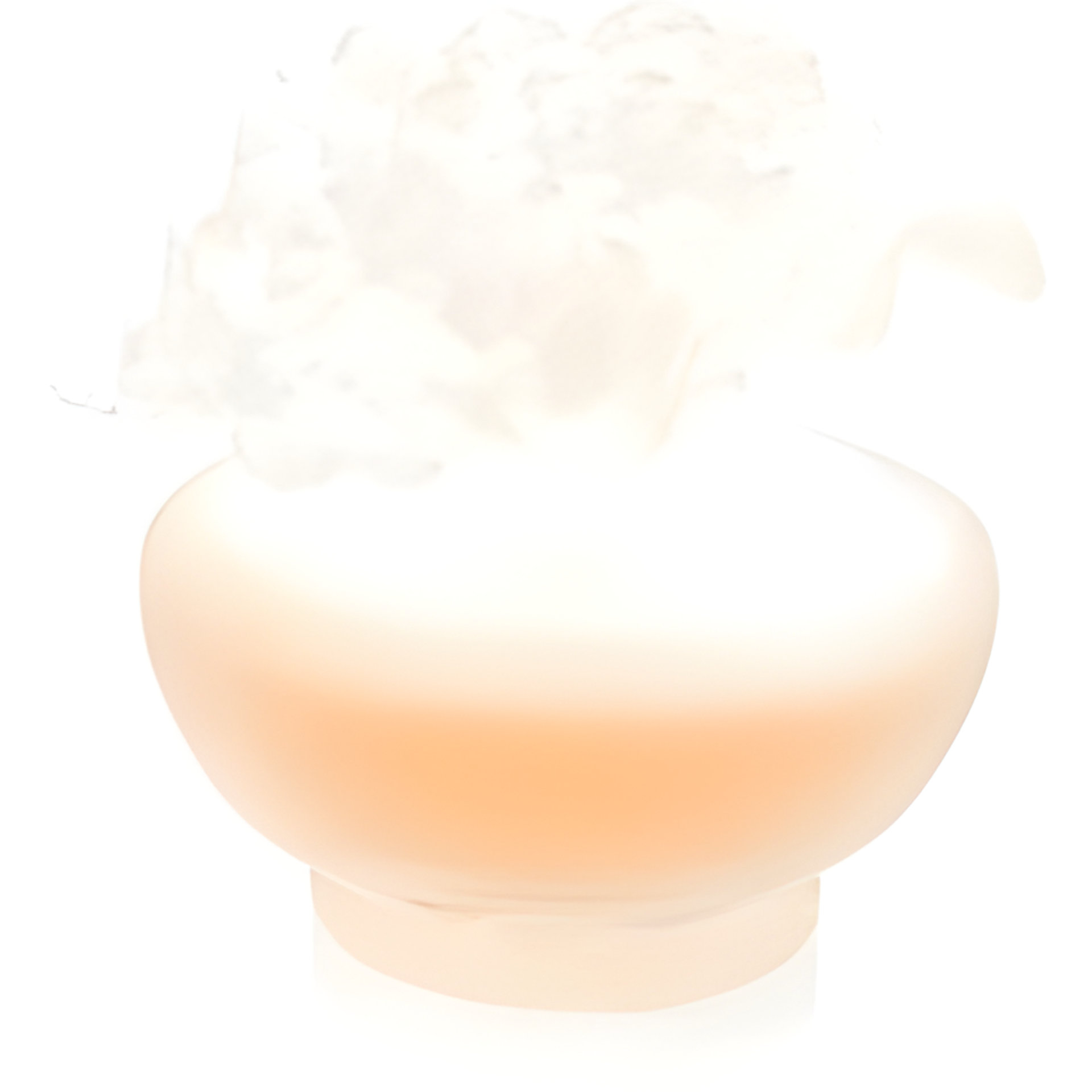 Picture of Orange Tropical fragrance