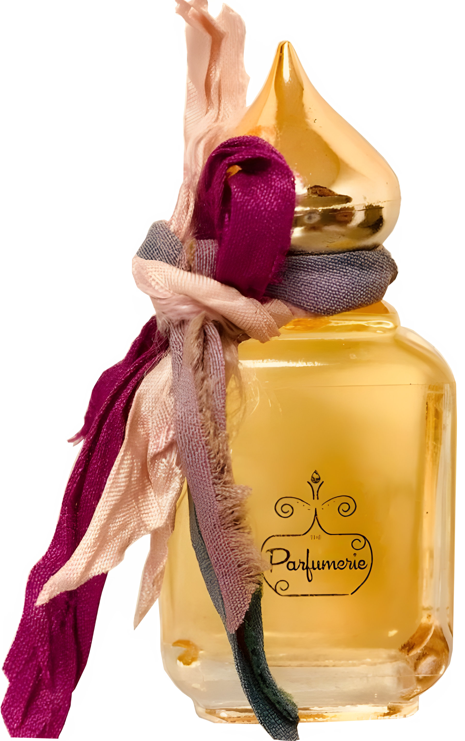 Picture of Tropical Mango fragrance