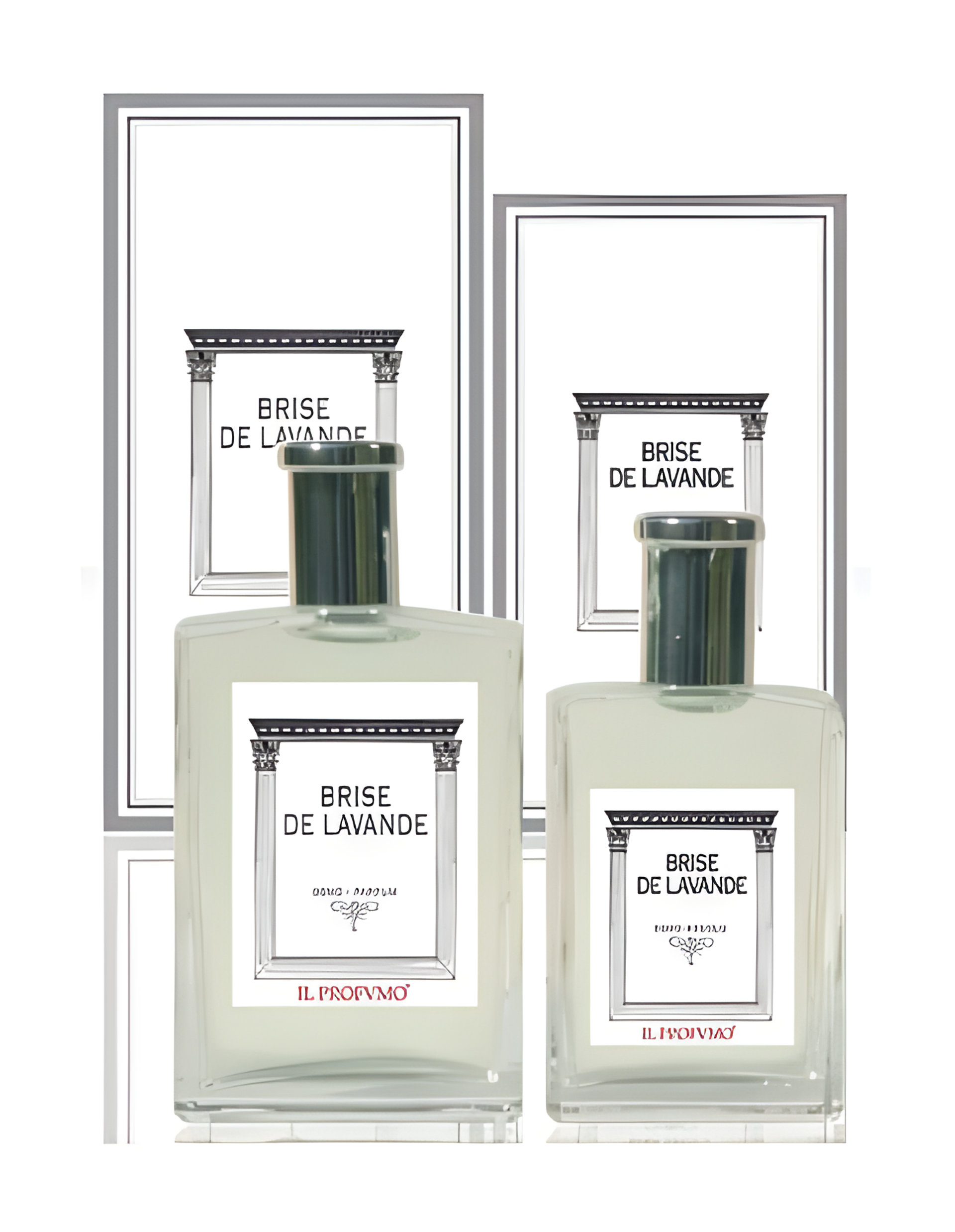 Picture of Osmo Scents Brise de Lavande fragrance