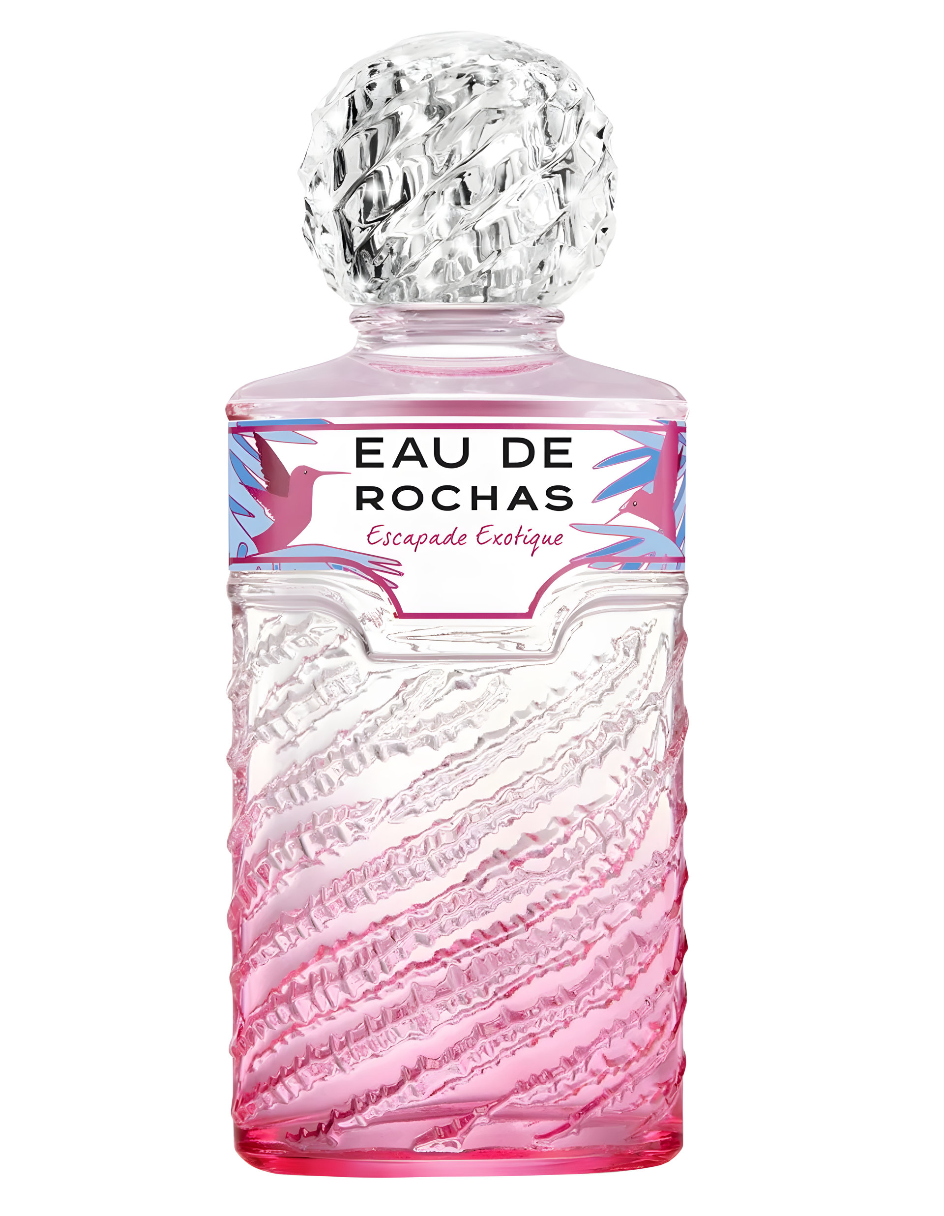 Picture of Eau de Rochas Escapade Exotique fragrance