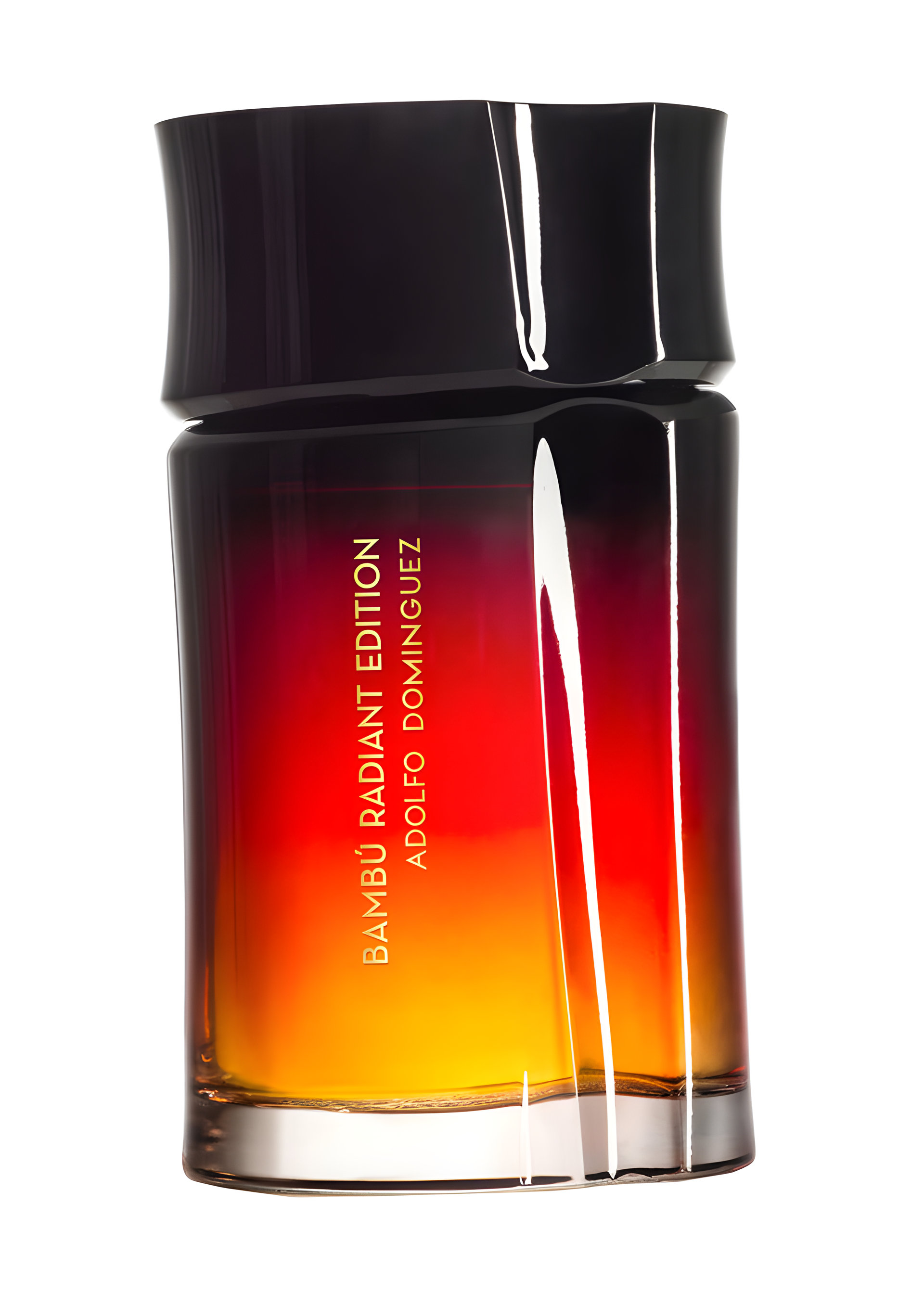 Bambú Radiant Edition Hombre by Adolfo Dominguez