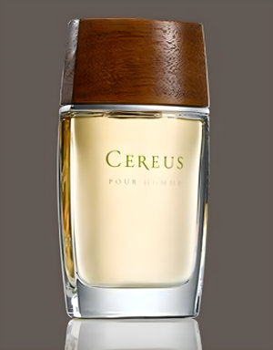 Cereus No.7 by Cereus perfume bottle