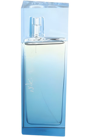 Begin by Niki Taylor perfume bottle
