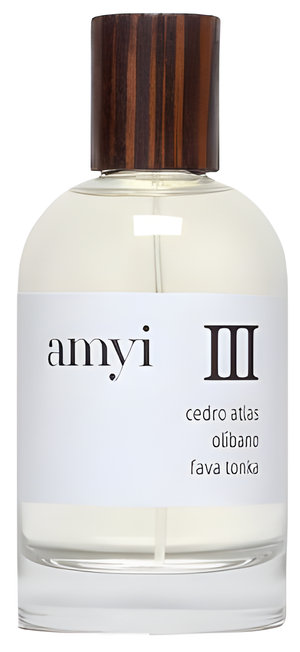 Amyi III by Amyi perfume bottle