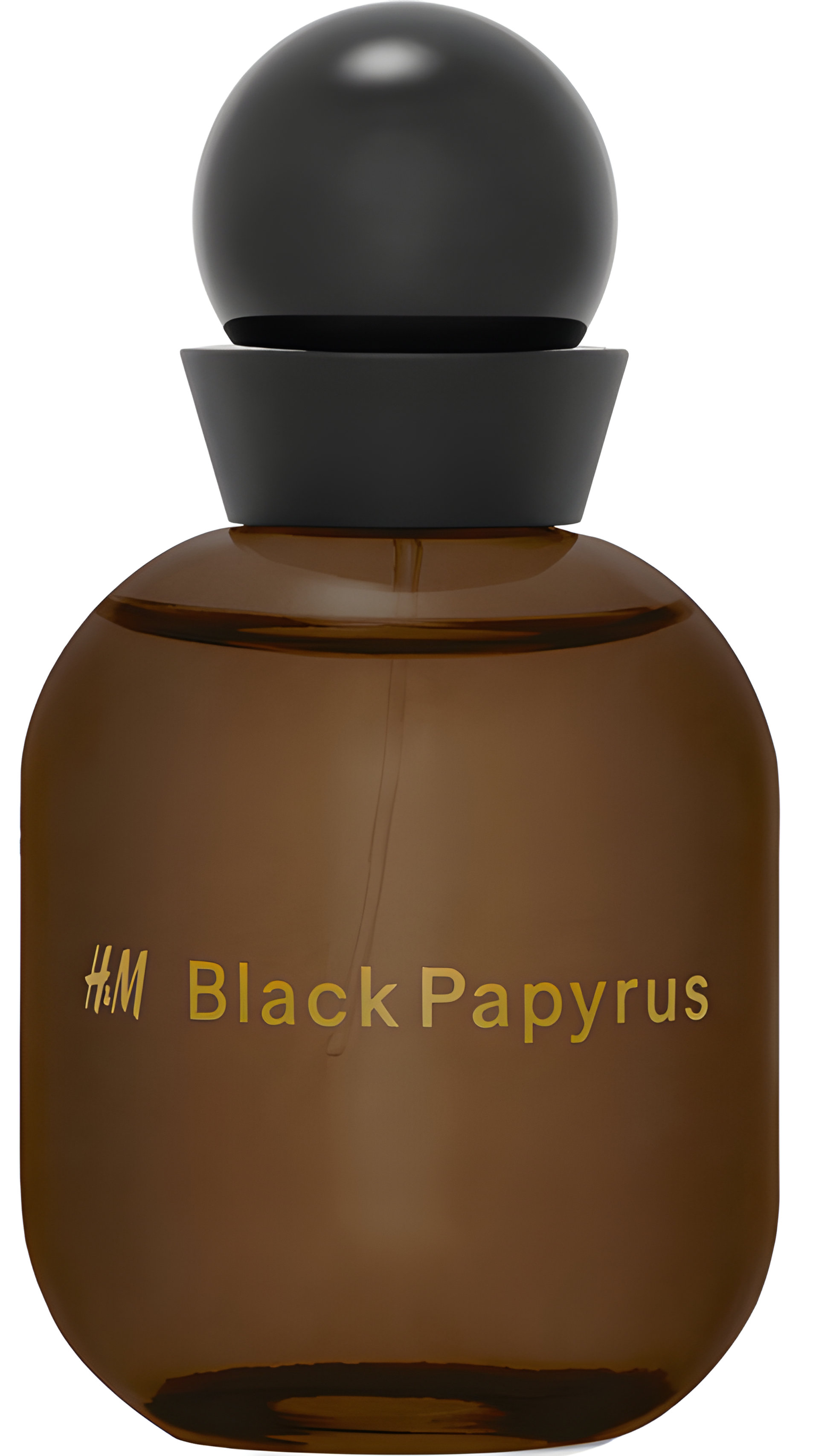 Picture of H&M Black Papyrus fragrance