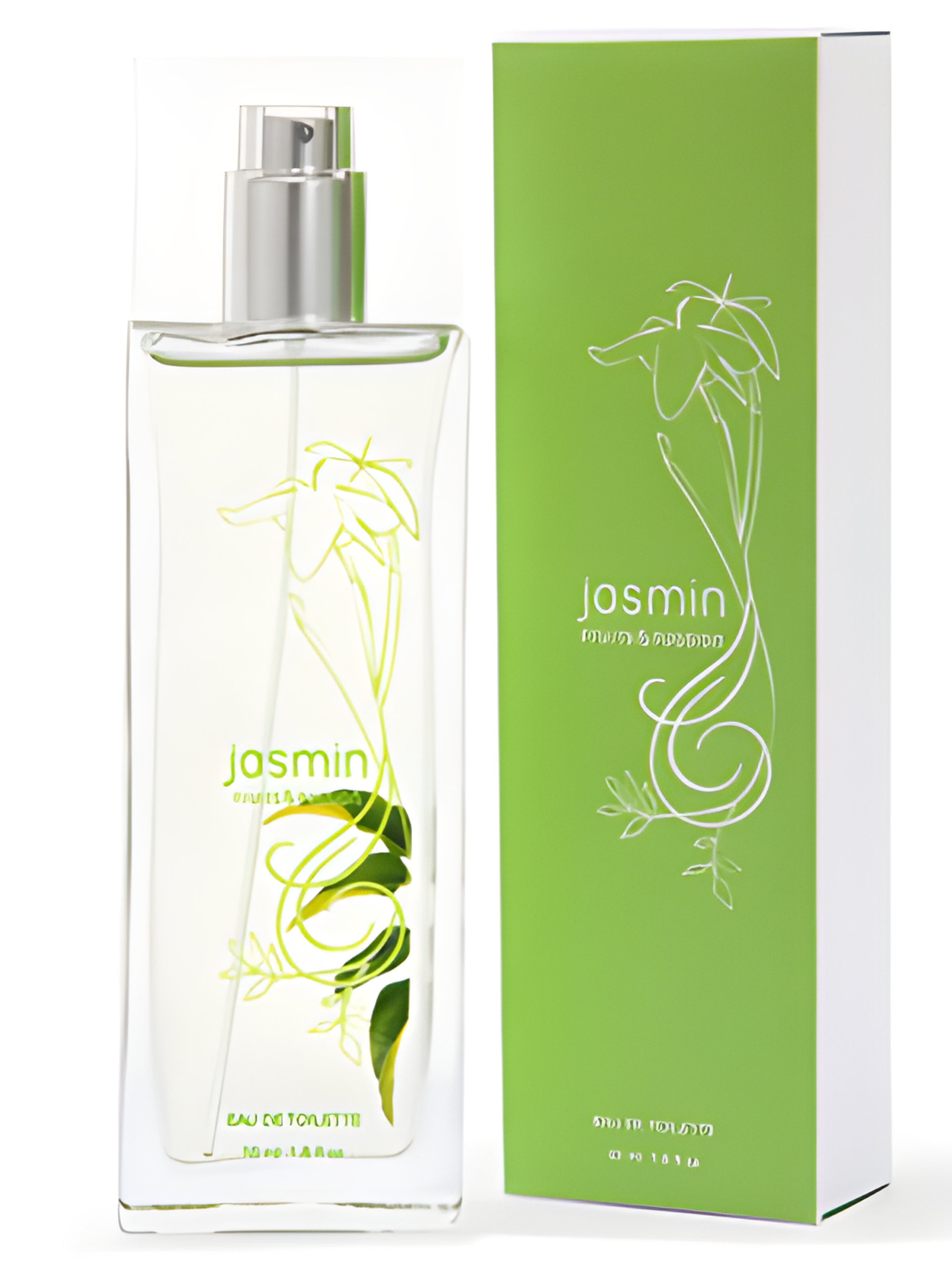 Picture of Jasmin fragrance