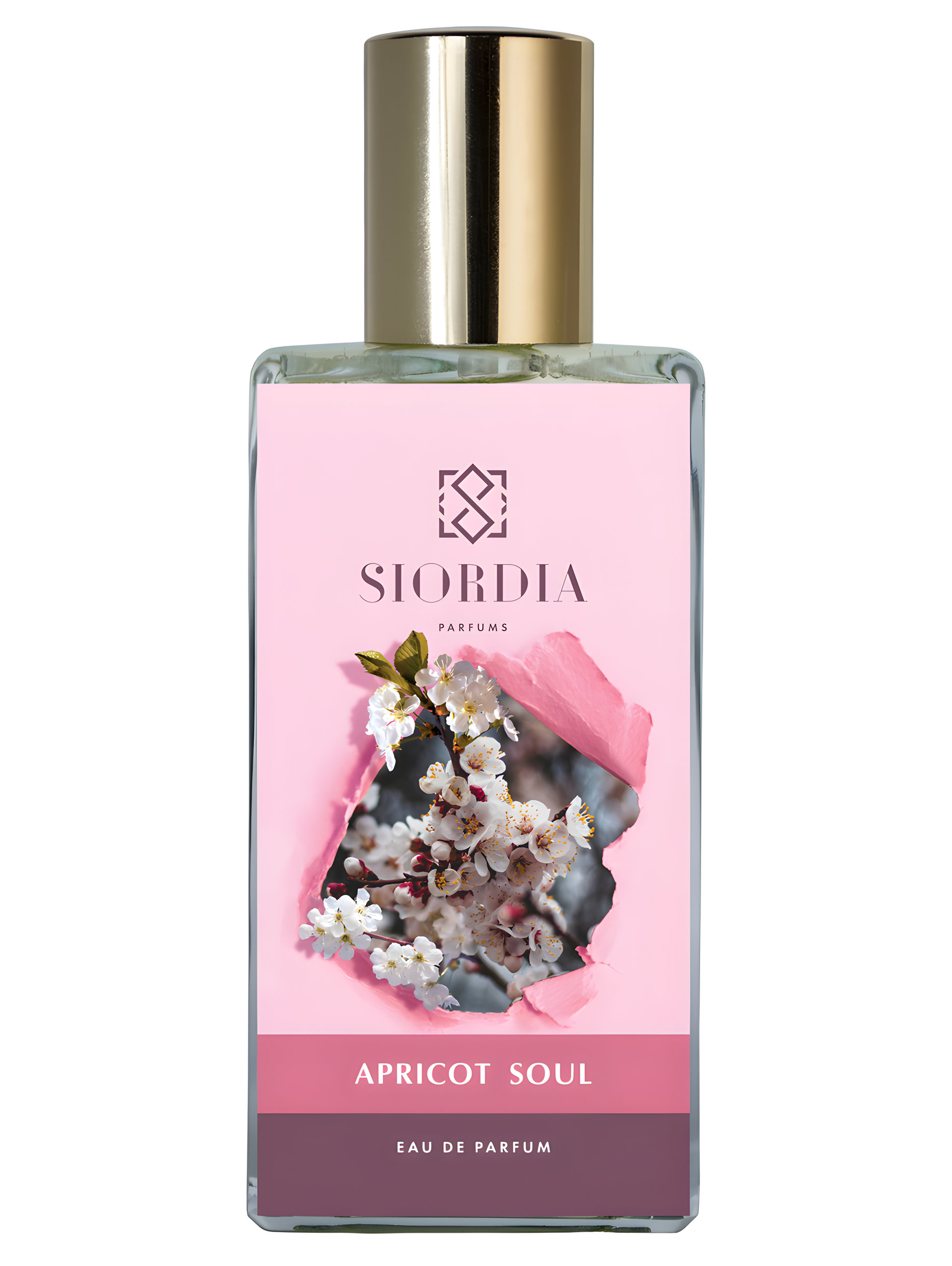 Picture of Apricot Soul fragrance