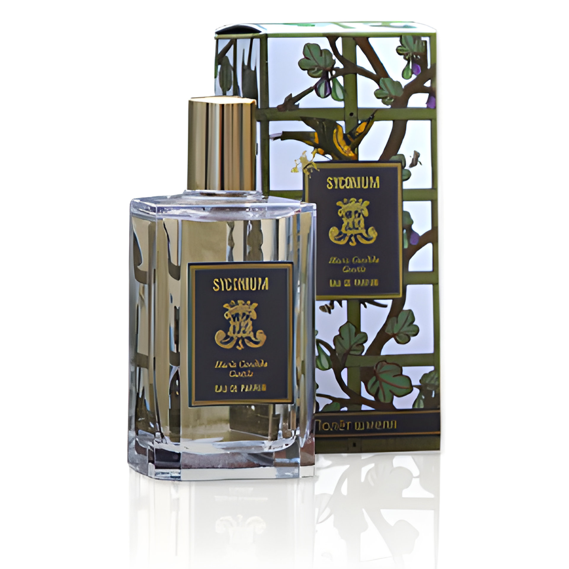 Picture of Syconium fragrance