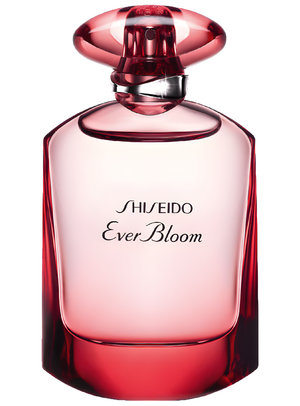 Picture of Ever Bloom Ginza Flower fragrance
