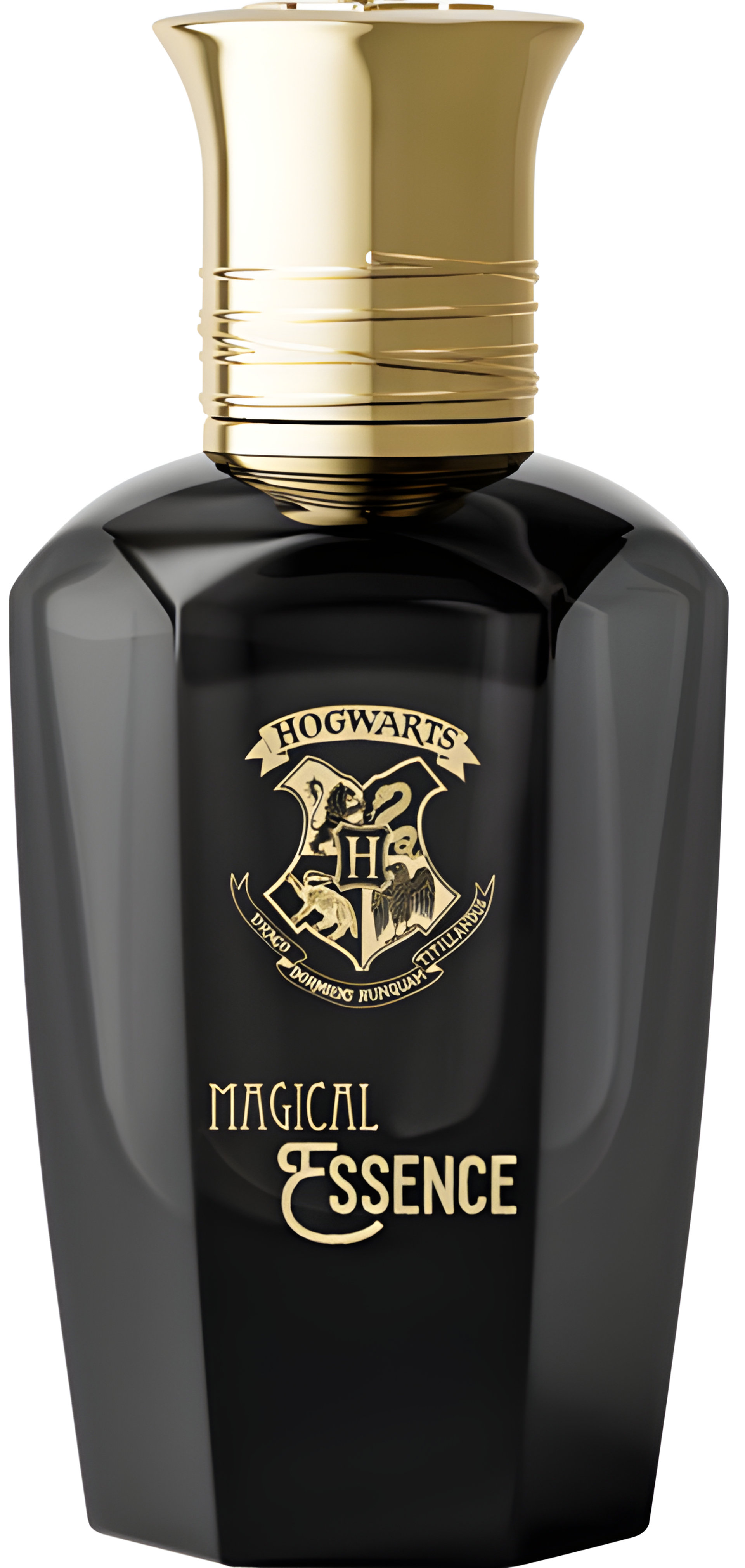 Picture of Ambition fragrance