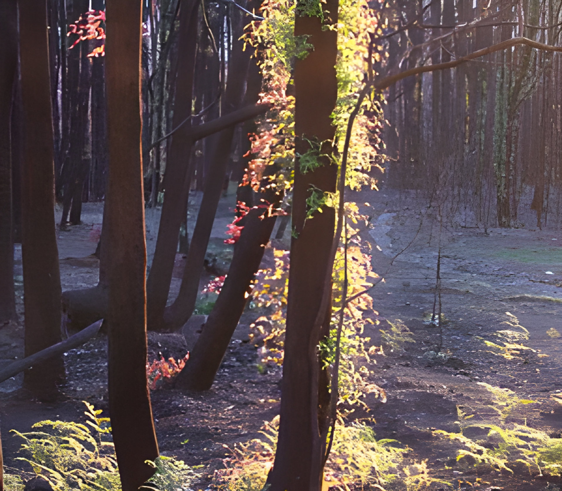 Picture of The Gamekeeper fragrance