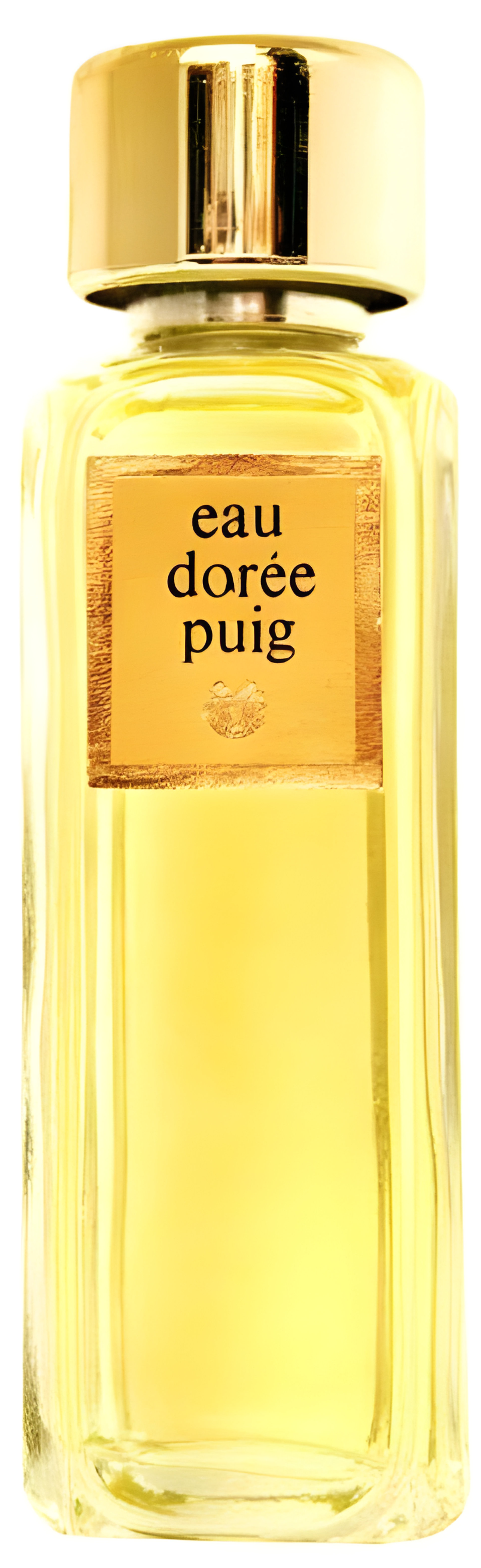 Eau Dorée by Antonio Puig