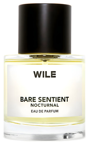 Bare Sentient Nocturnal by WILE perfume bottle