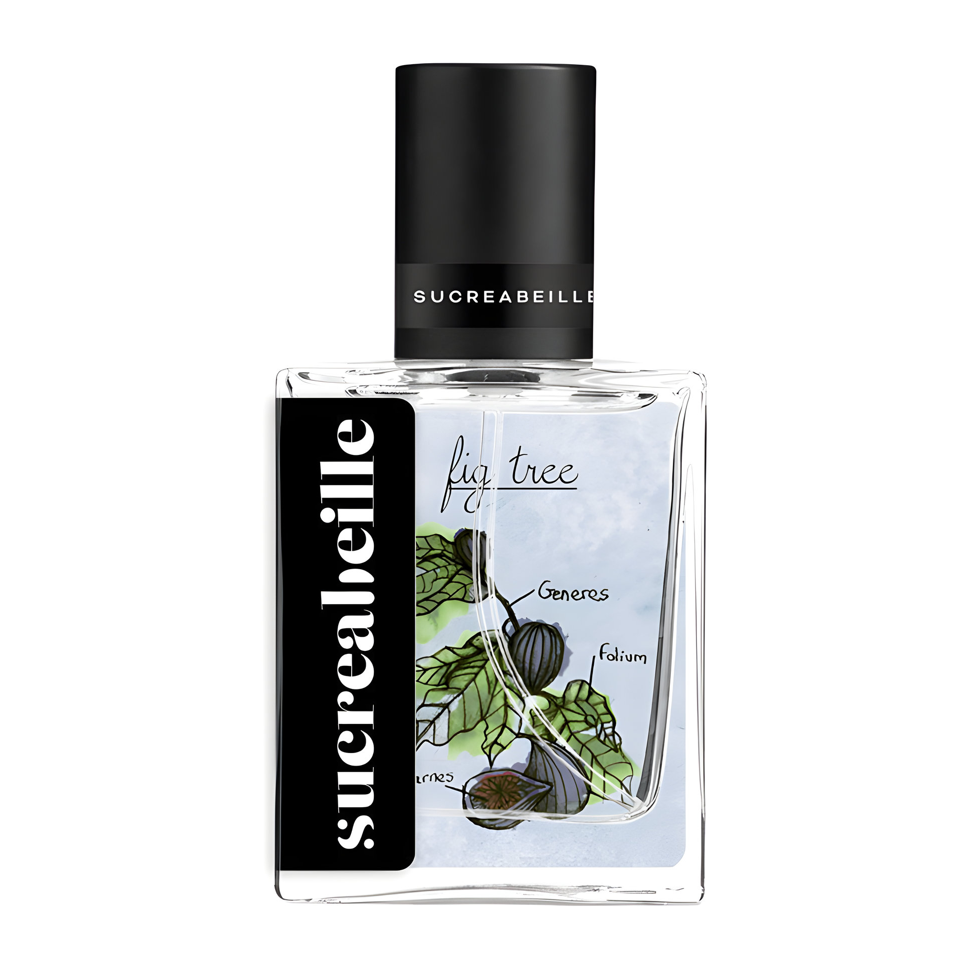 Picture of Fig Tree fragrance