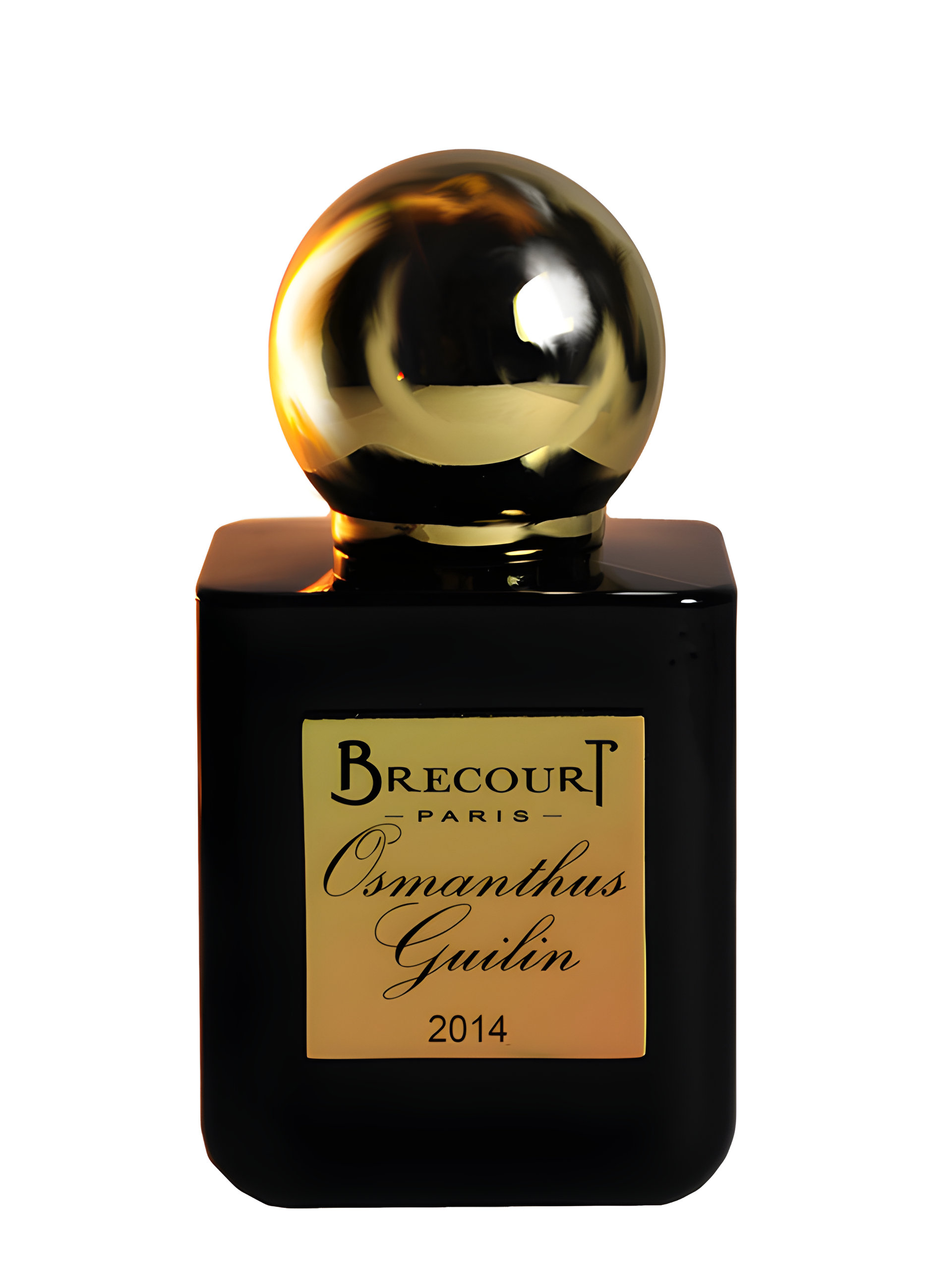 Picture of Osmanthus Guilin fragrance