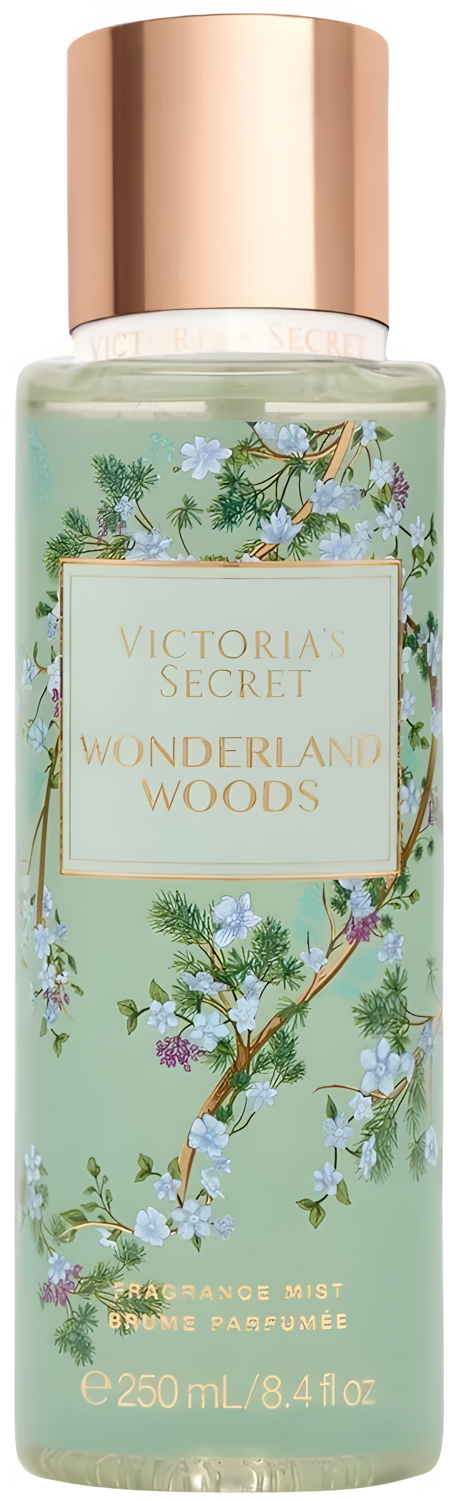 Picture of Wonderland Woods 2023 fragrance