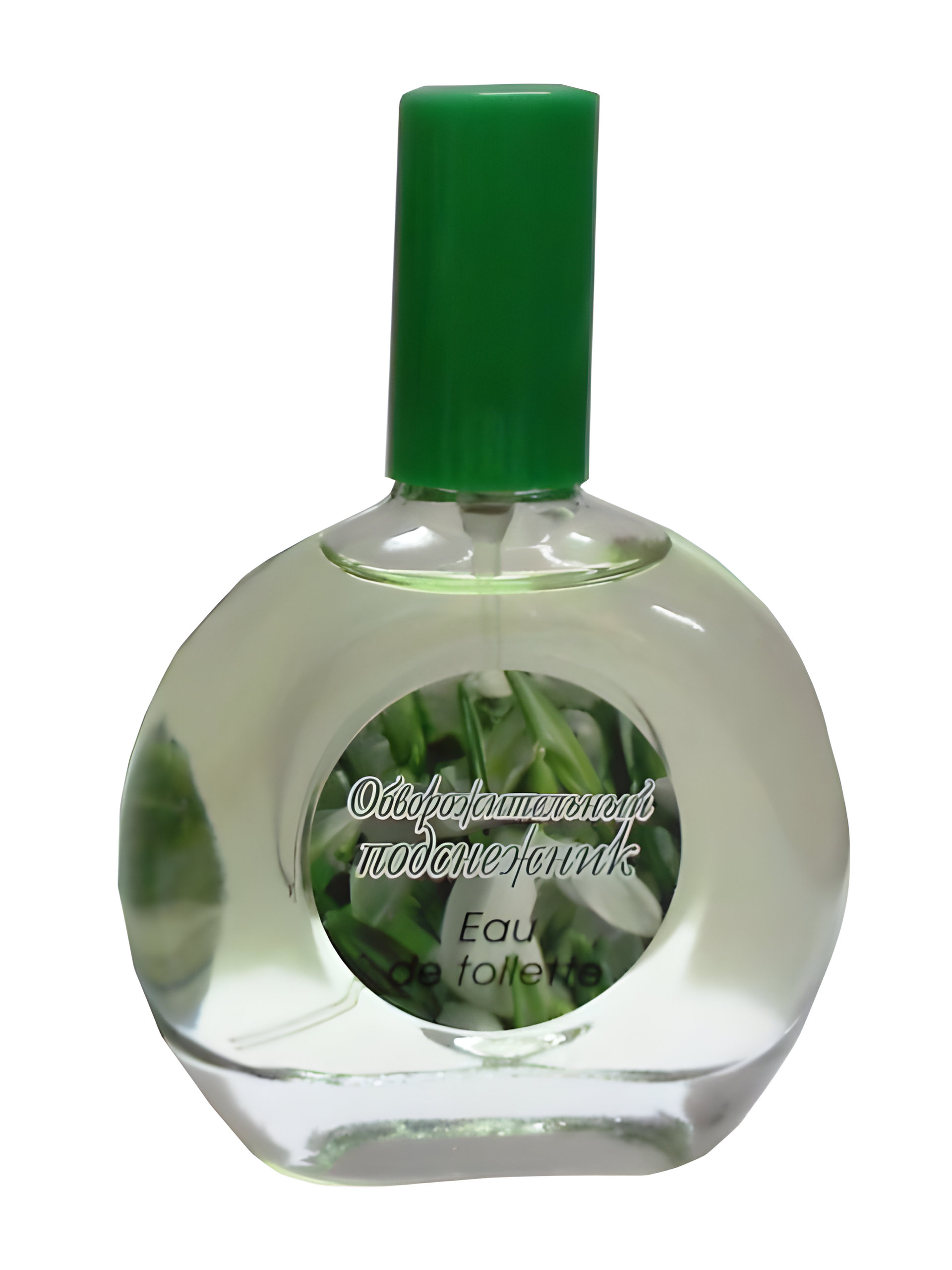 Picture of Charming Snowdrop fragrance