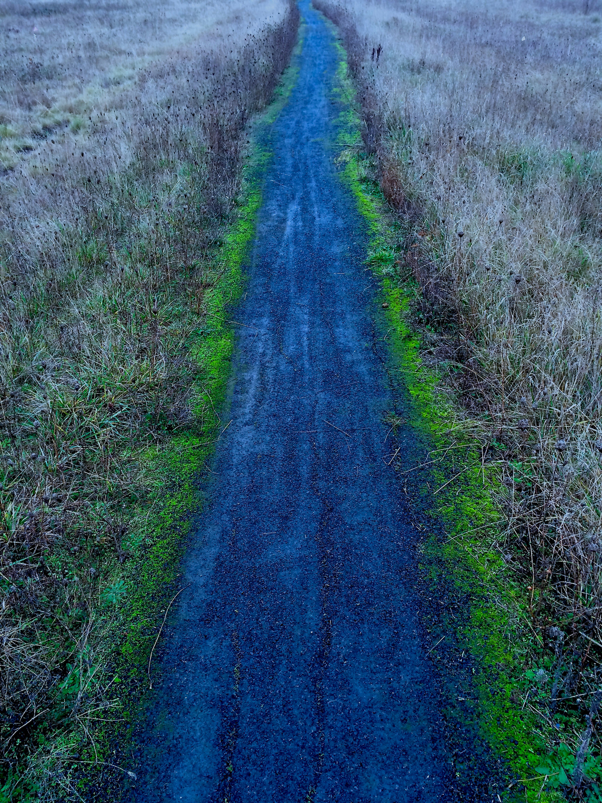 Picture of Wendover fragrance