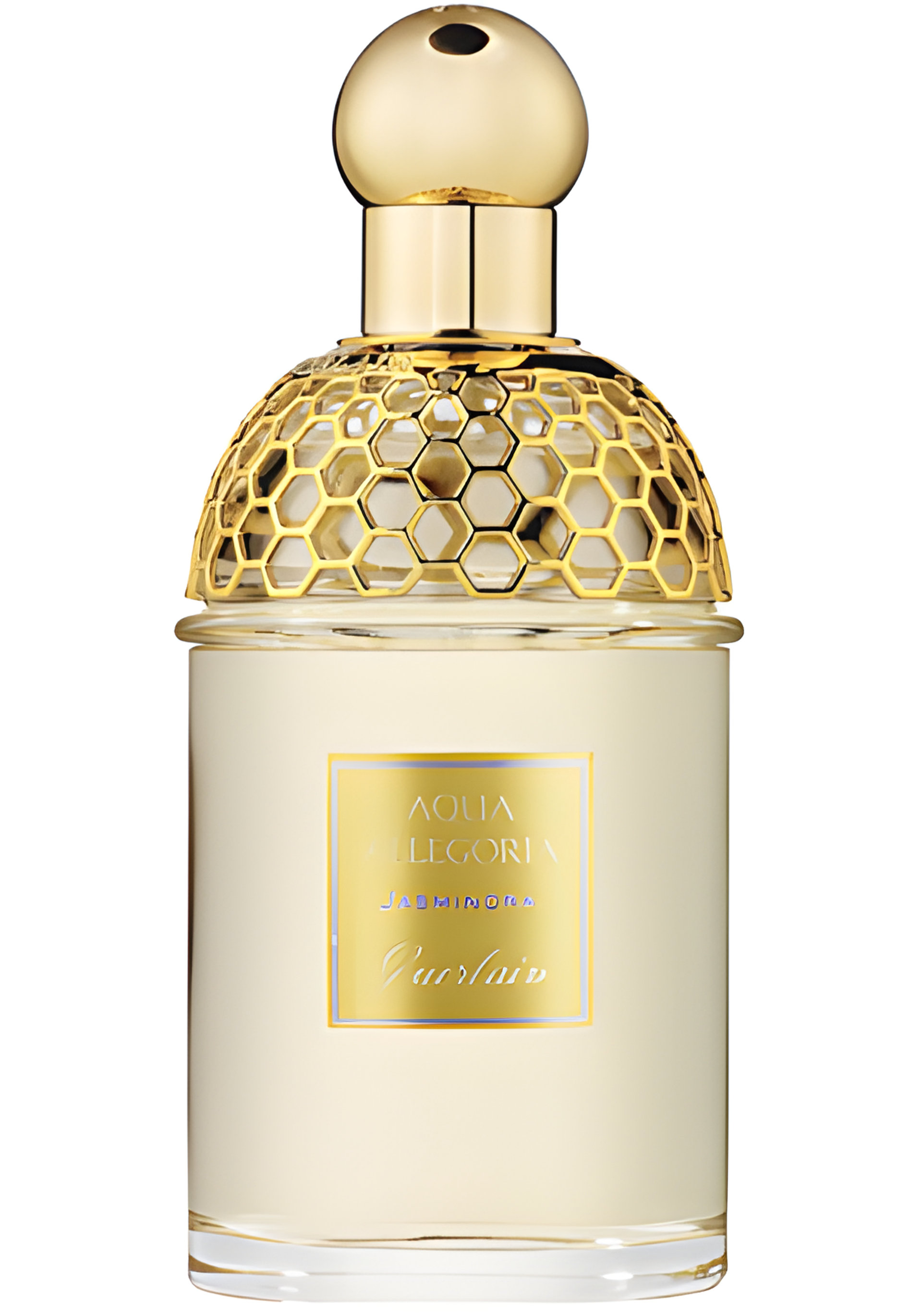 Picture of Aqua Allegoria Jasminora fragrance