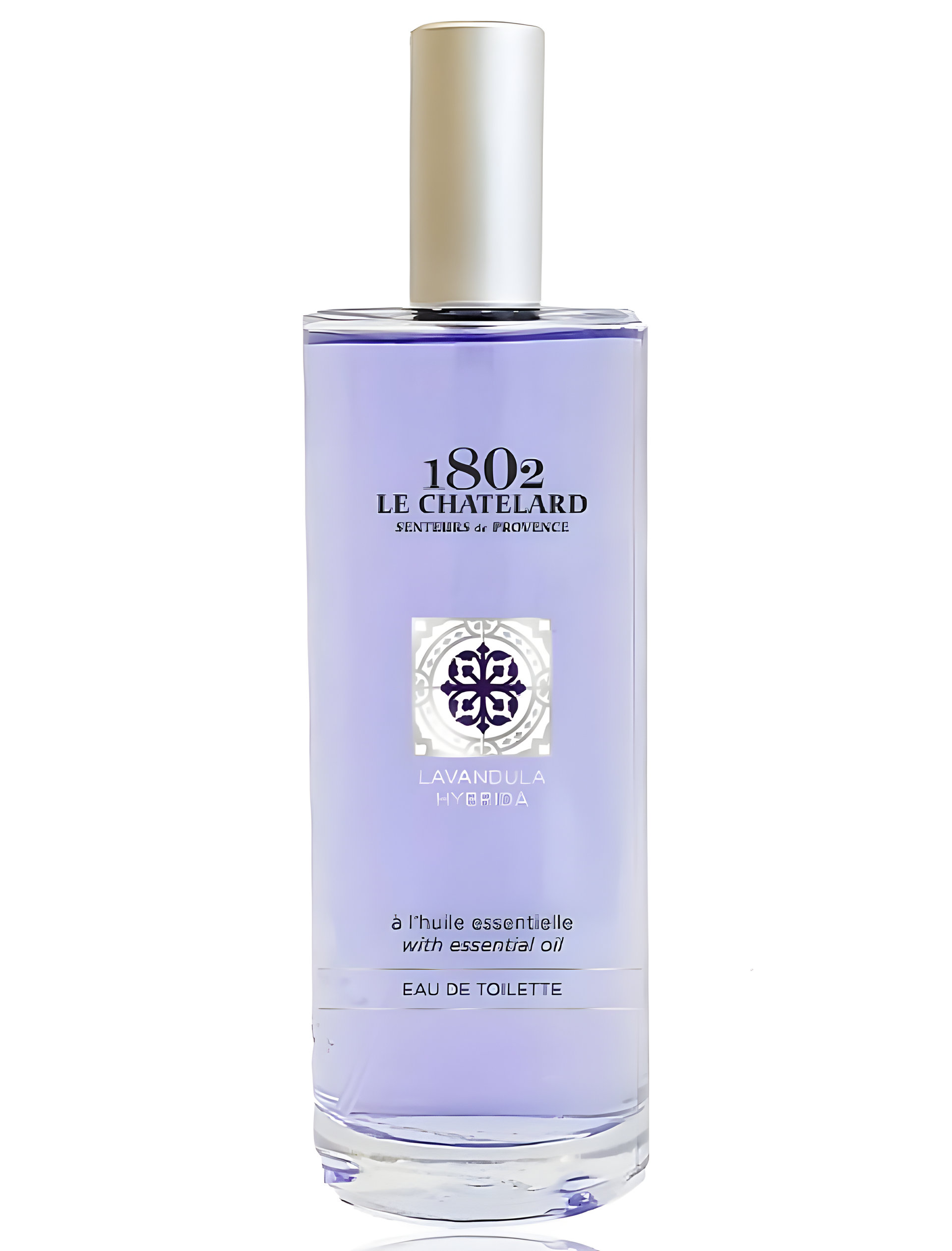 Picture of Lavandula Hybrida fragrance