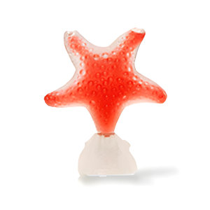 Star Red Pasion by Seajewels perfume bottle