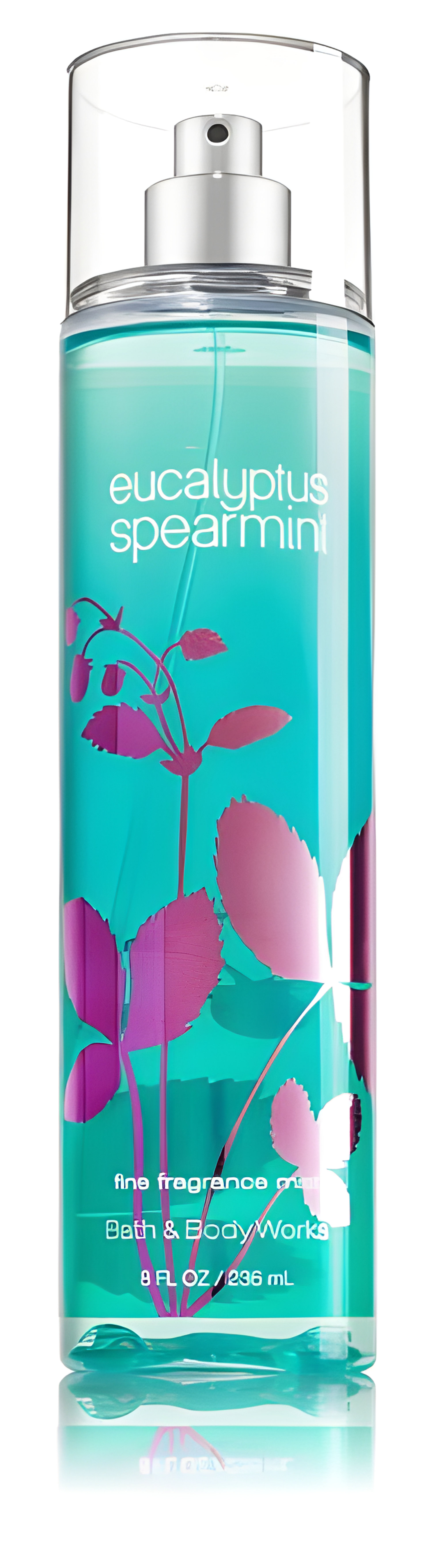 Picture of Eucalyptus Spearmint fragrance