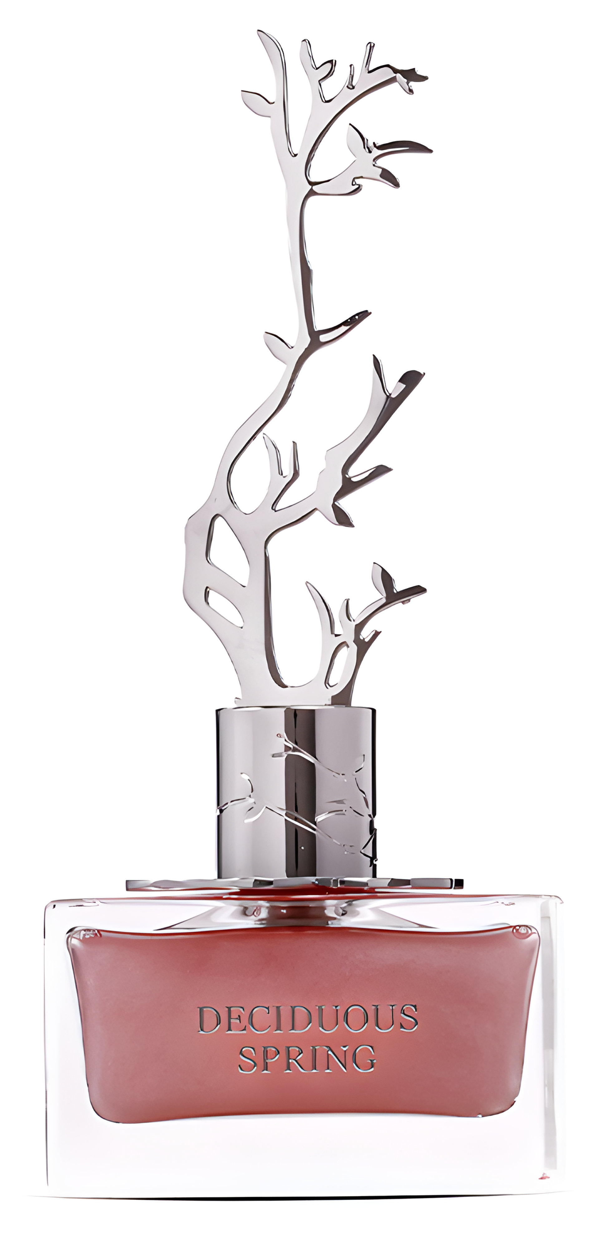 Picture of Deciduous Spring fragrance