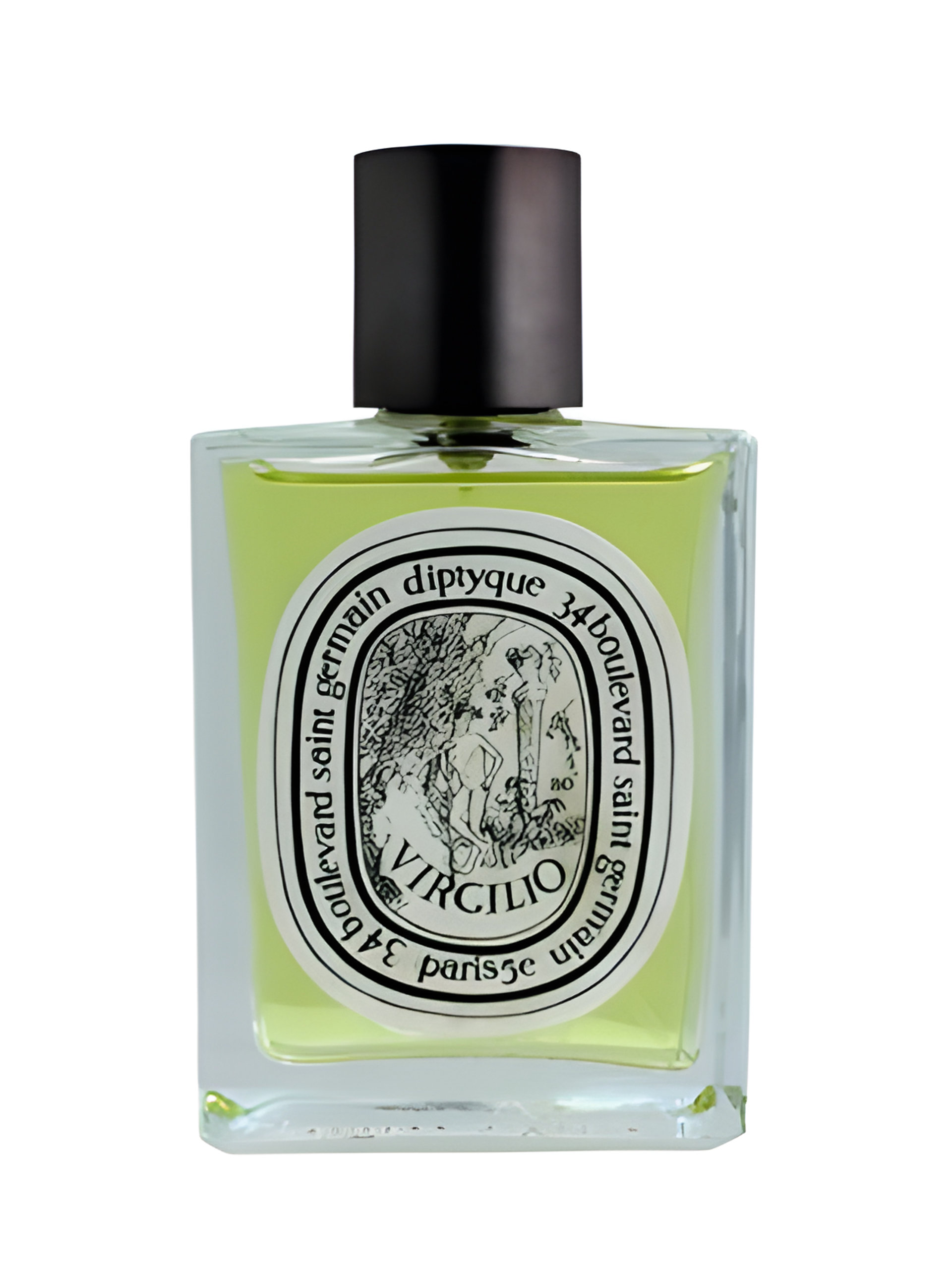 Picture of Virgilio fragrance