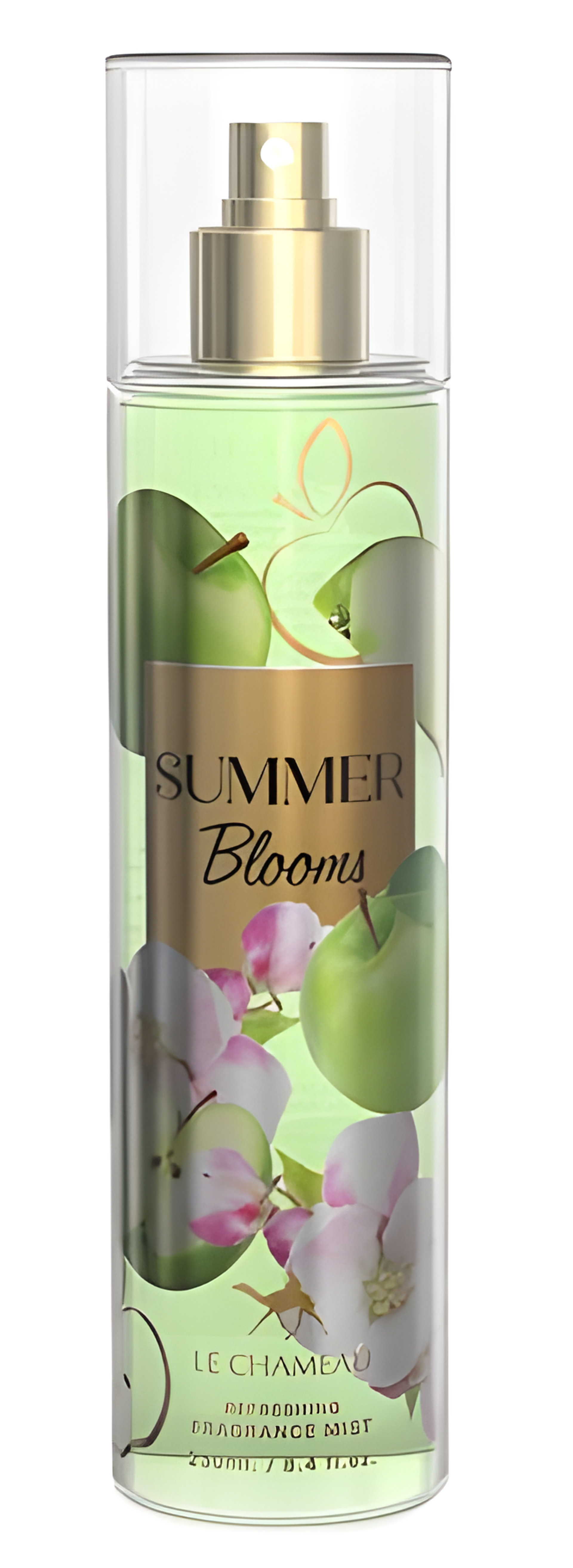 Picture of Summer Blooms fragrance