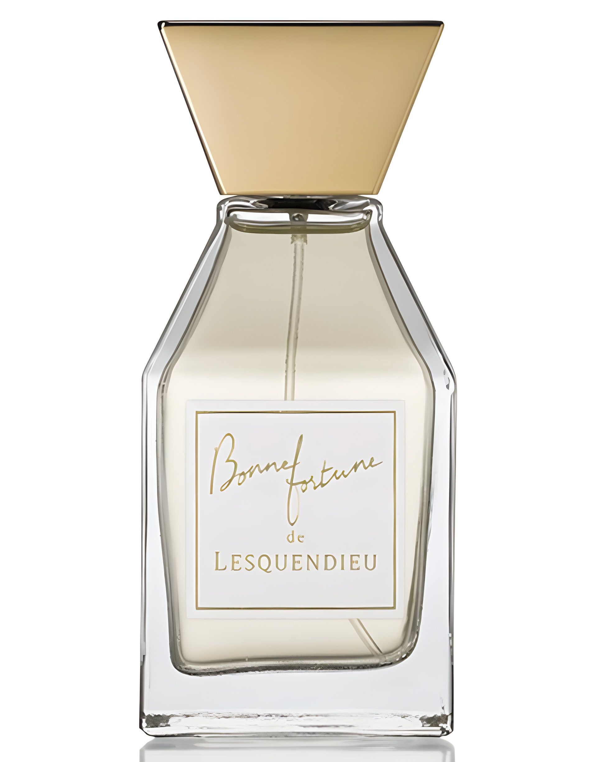 Picture of Bonne Fortune fragrance