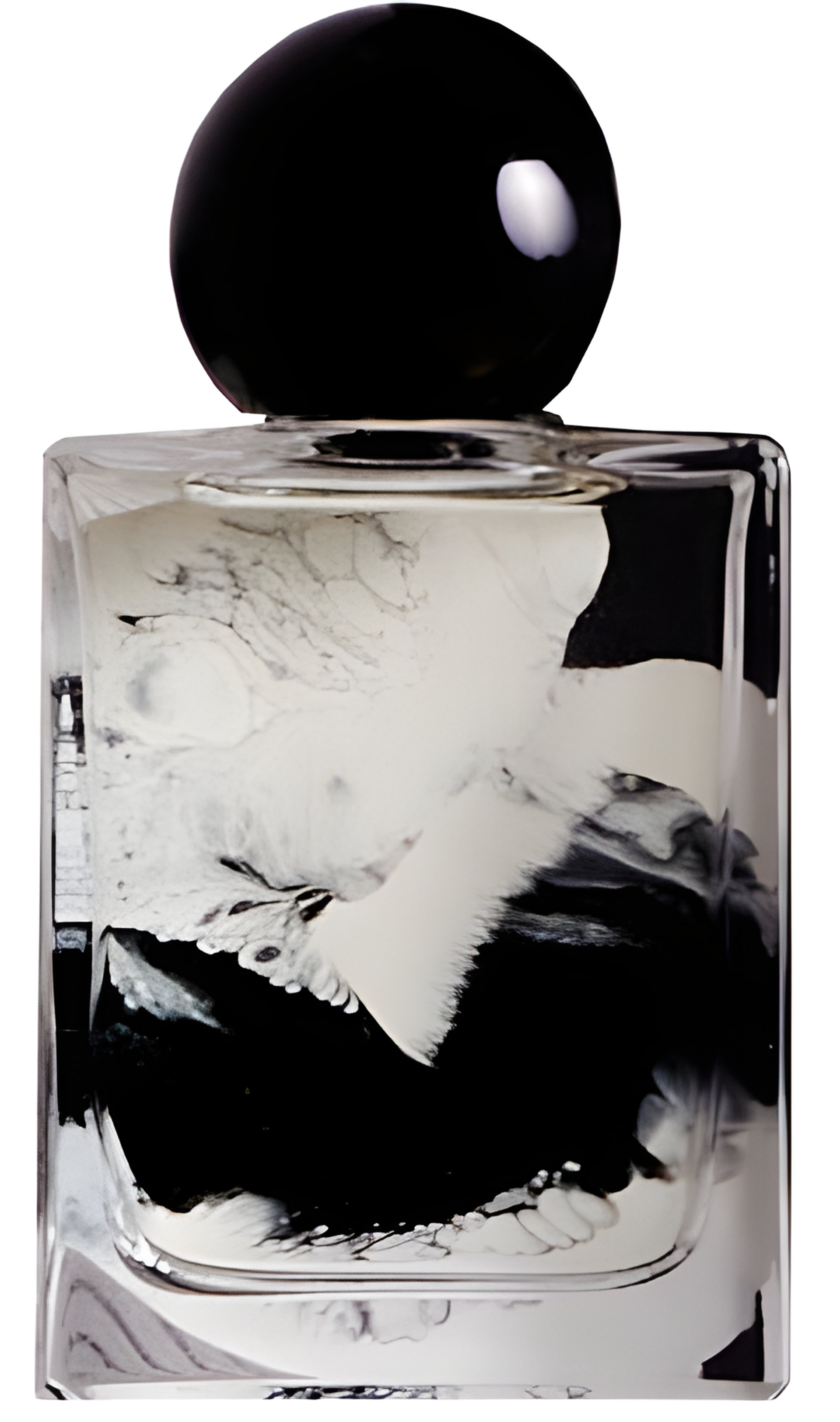 Picture of Post Tenebras Lux fragrance
