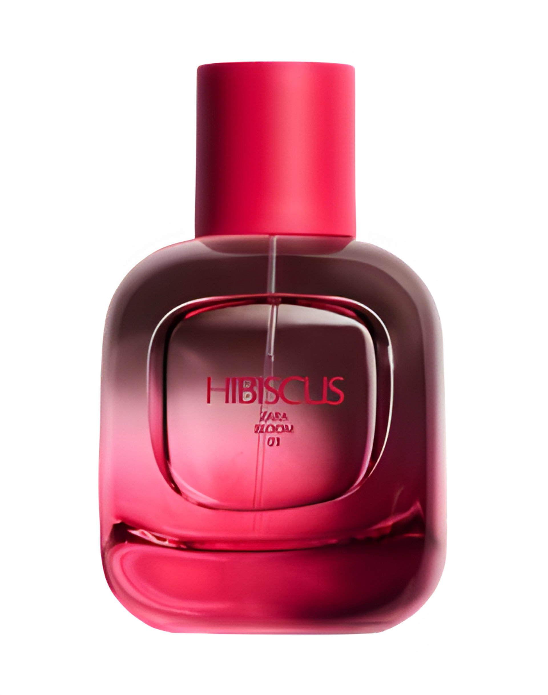 Picture of Hibiscus fragrance