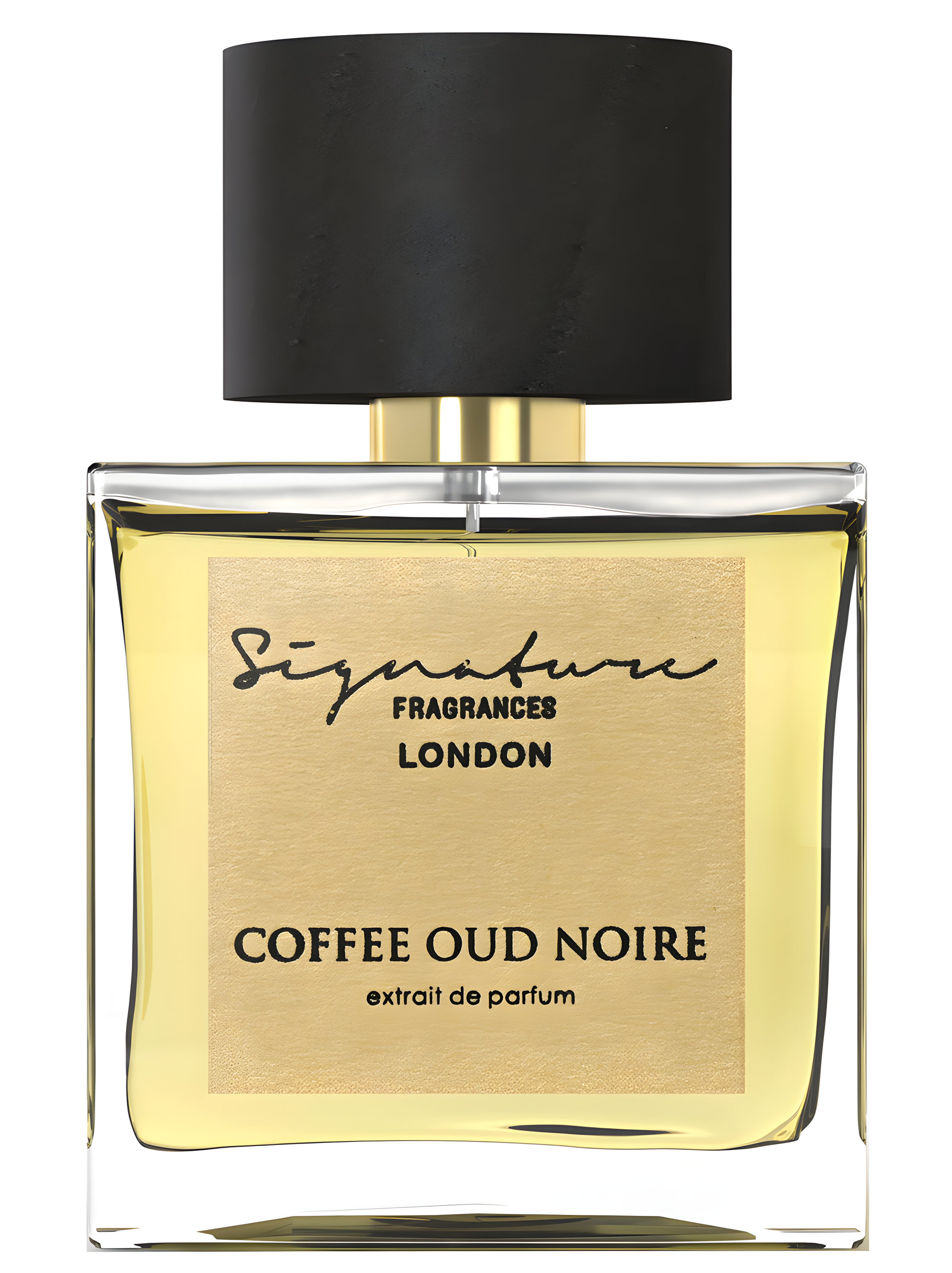 Picture of Coffee Oud Noire fragrance