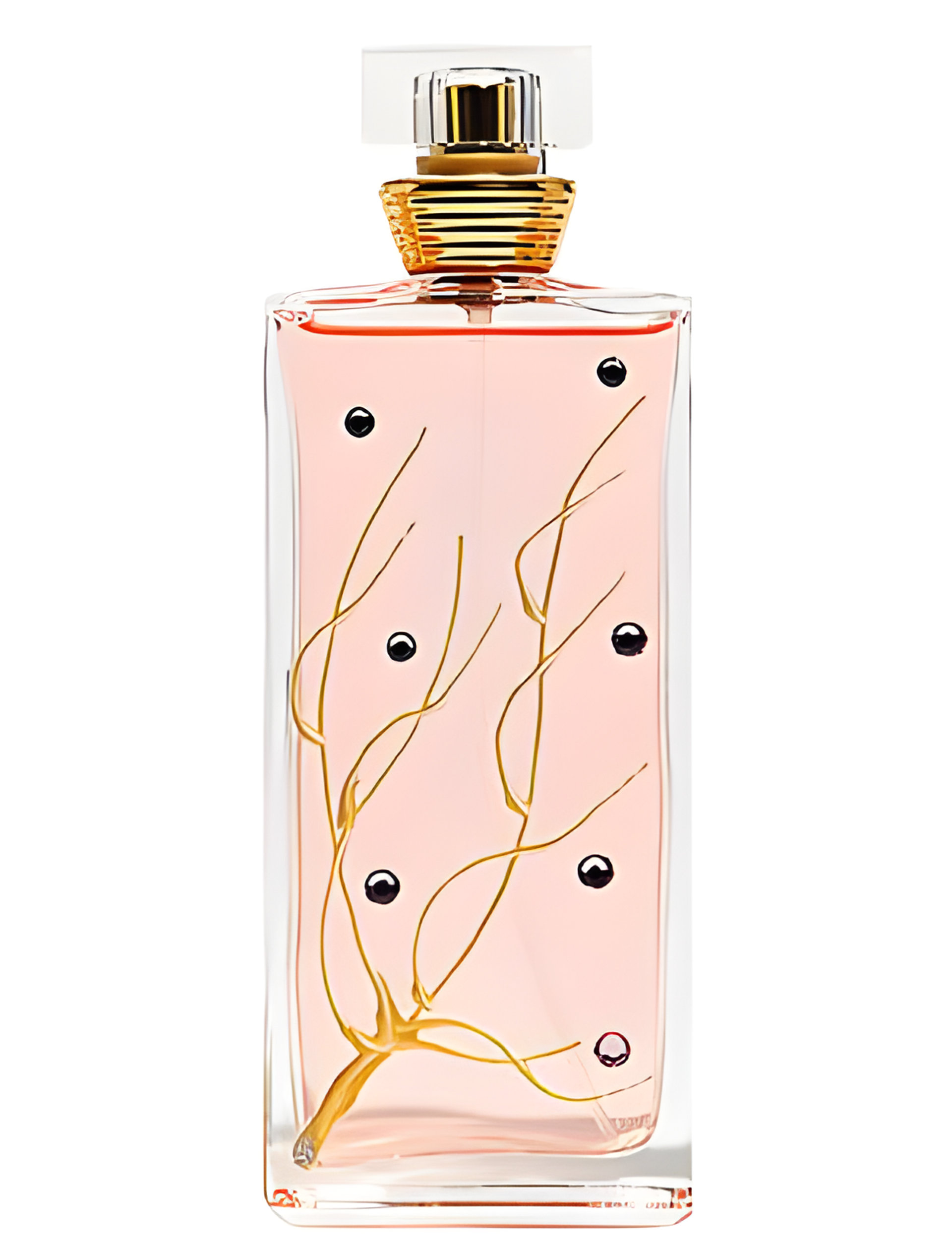 Picture of Les 4 Saisons: Printemps fragrance