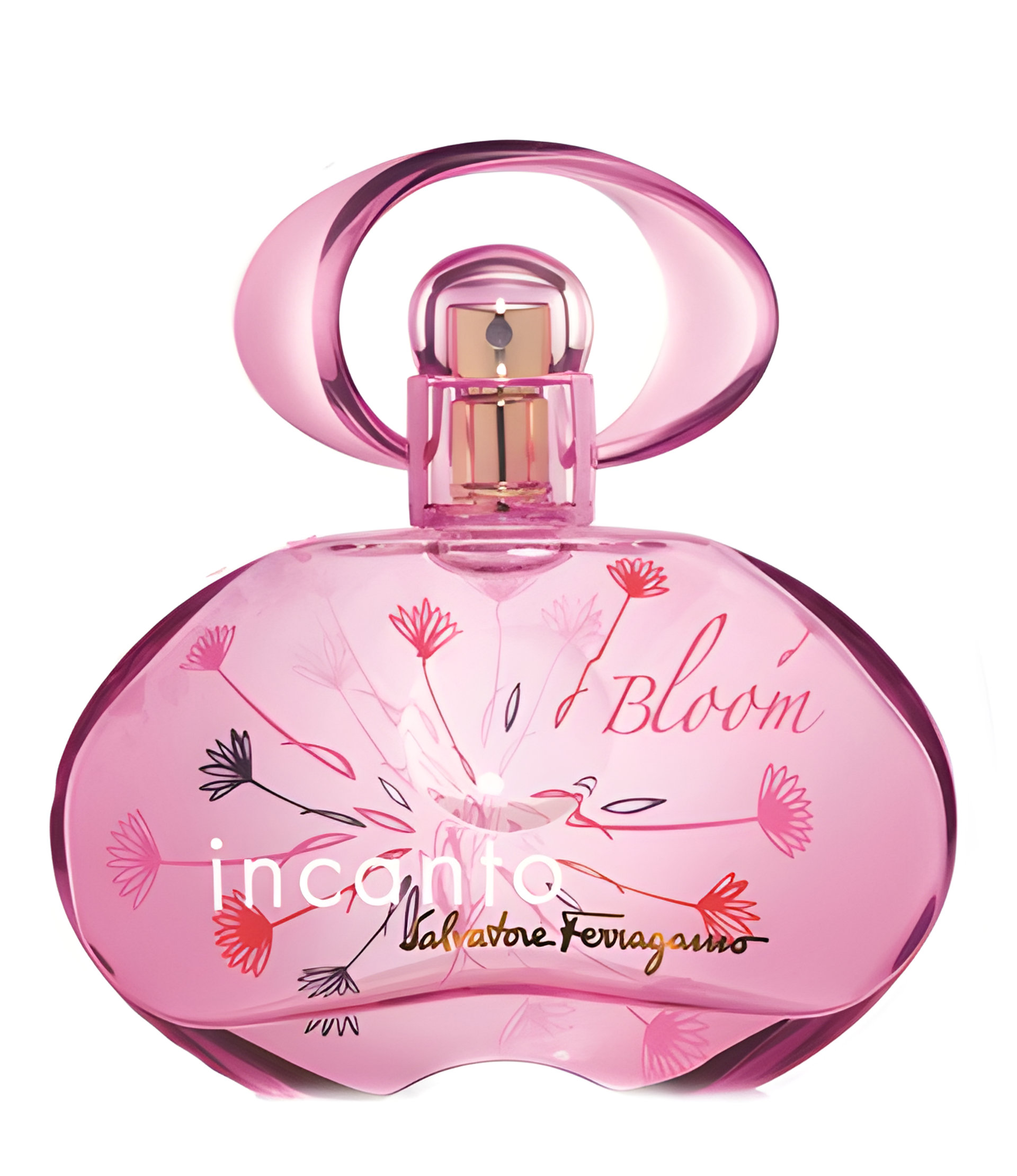 Picture of Incanto Bloom (2014) fragrance