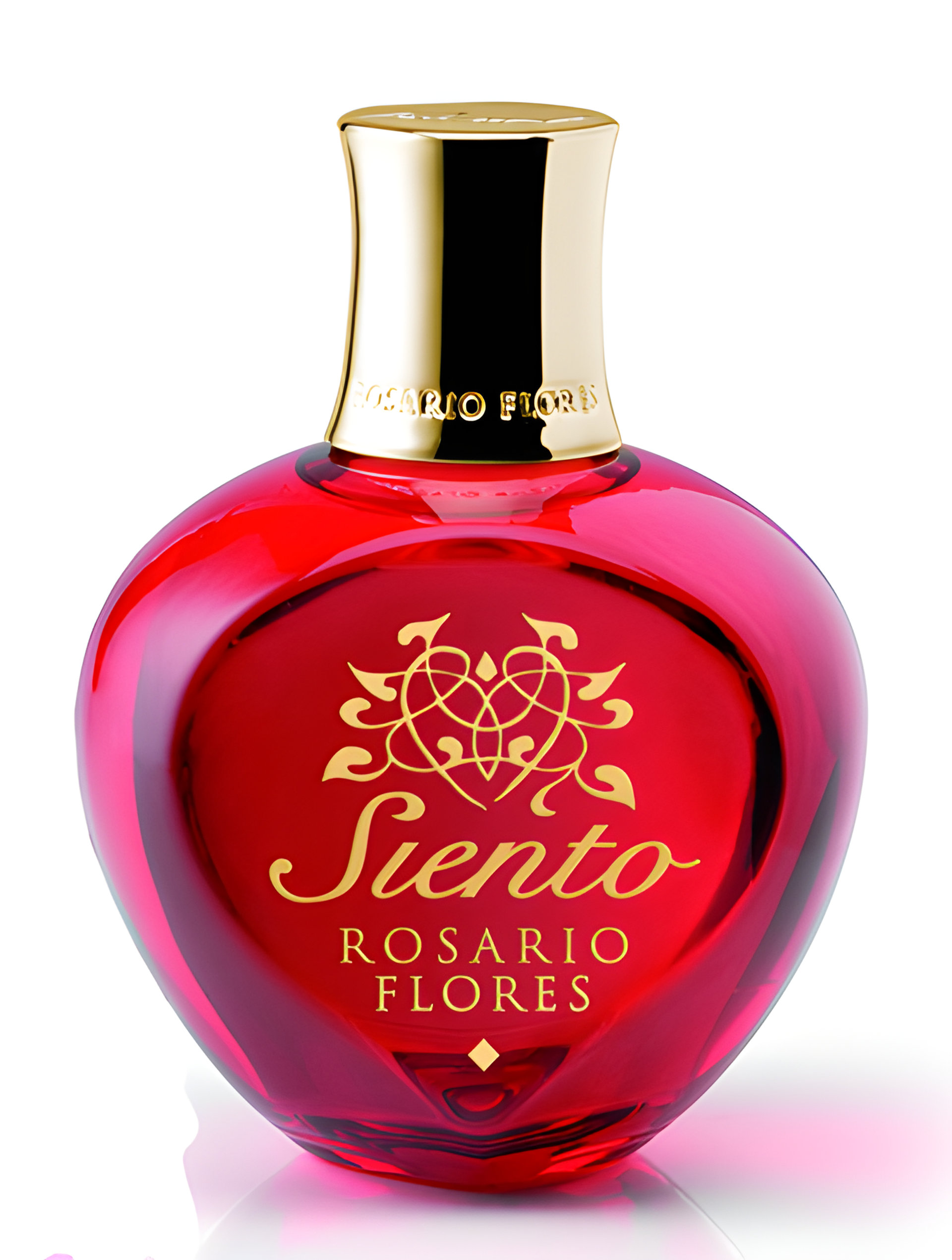 Siento by Rosario Flores