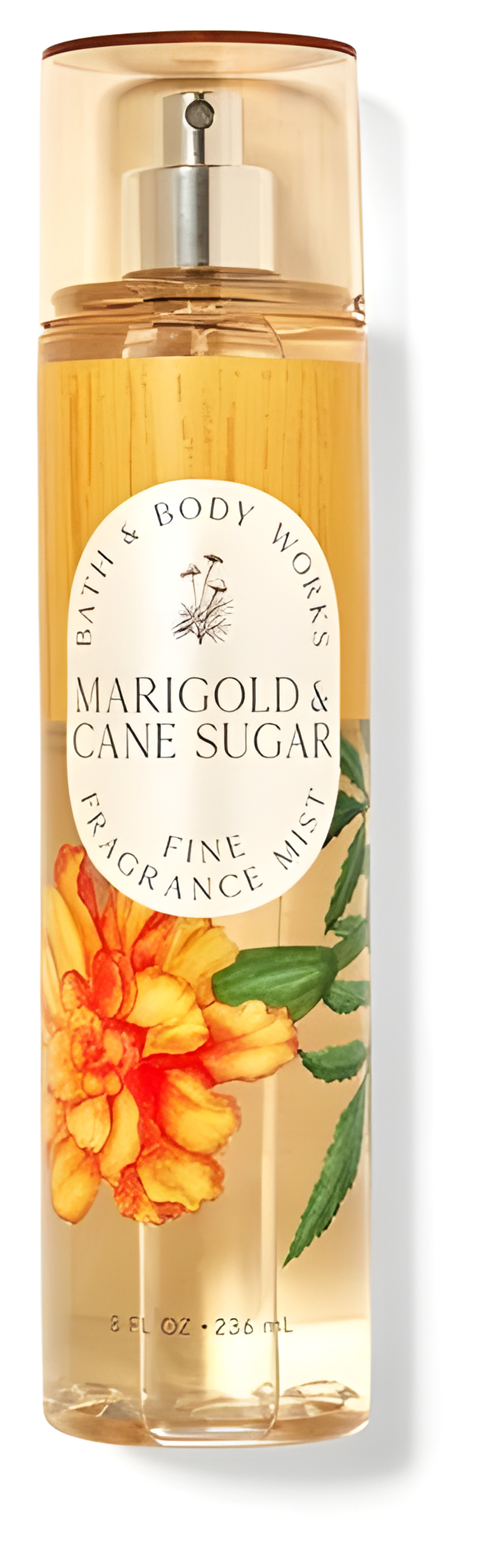 Picture of Marigold Cane Sugar fragrance