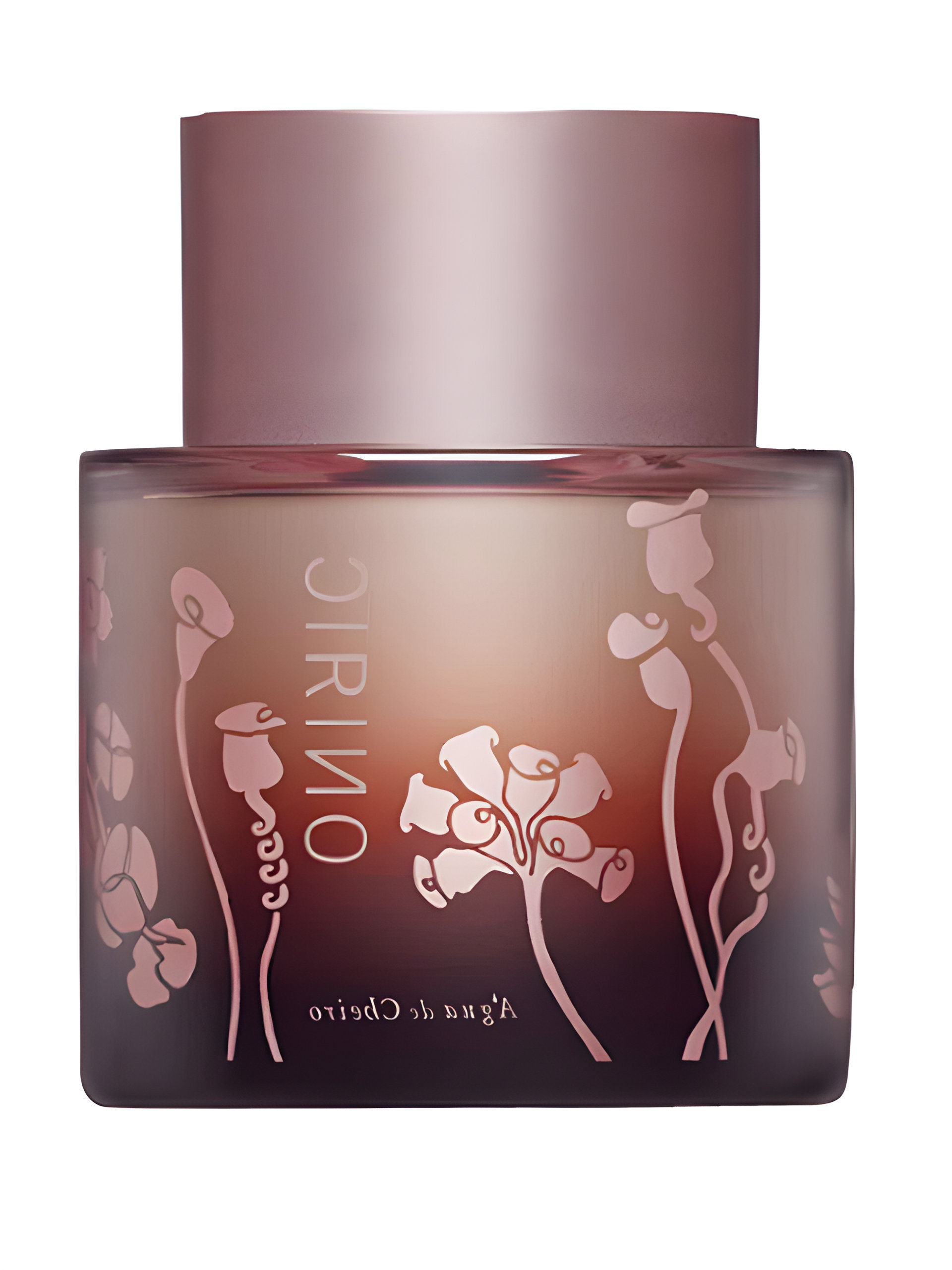 Picture of Oniric fragrance