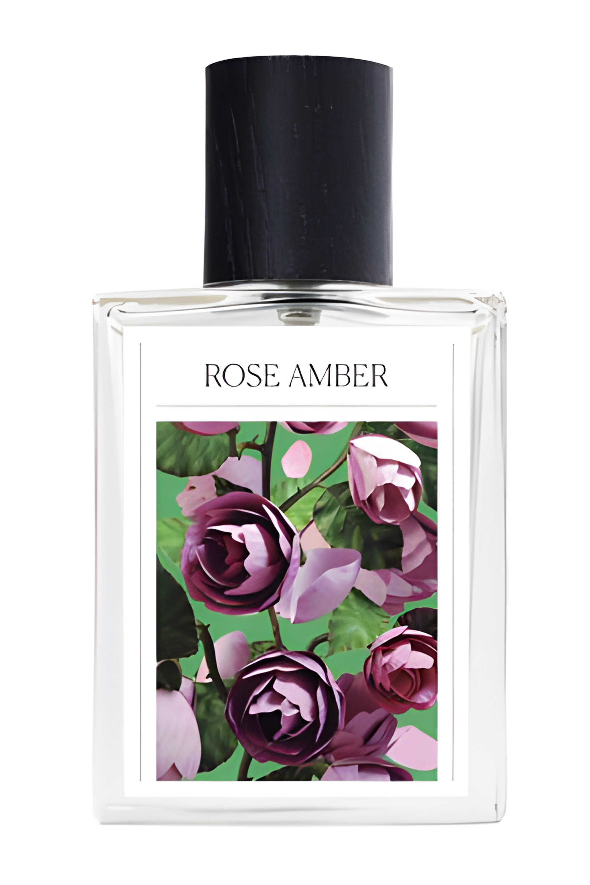 Picture of Rose Amber fragrance