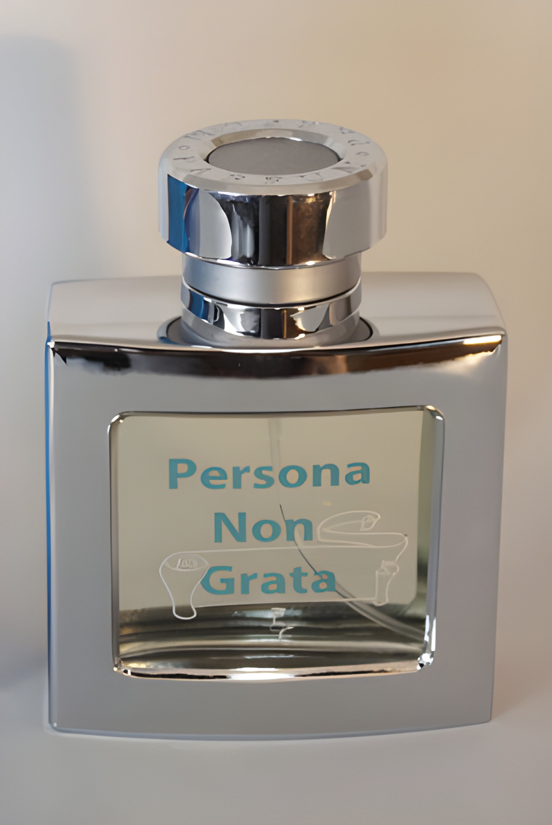 Persona Non Grata by Eclectic Collections