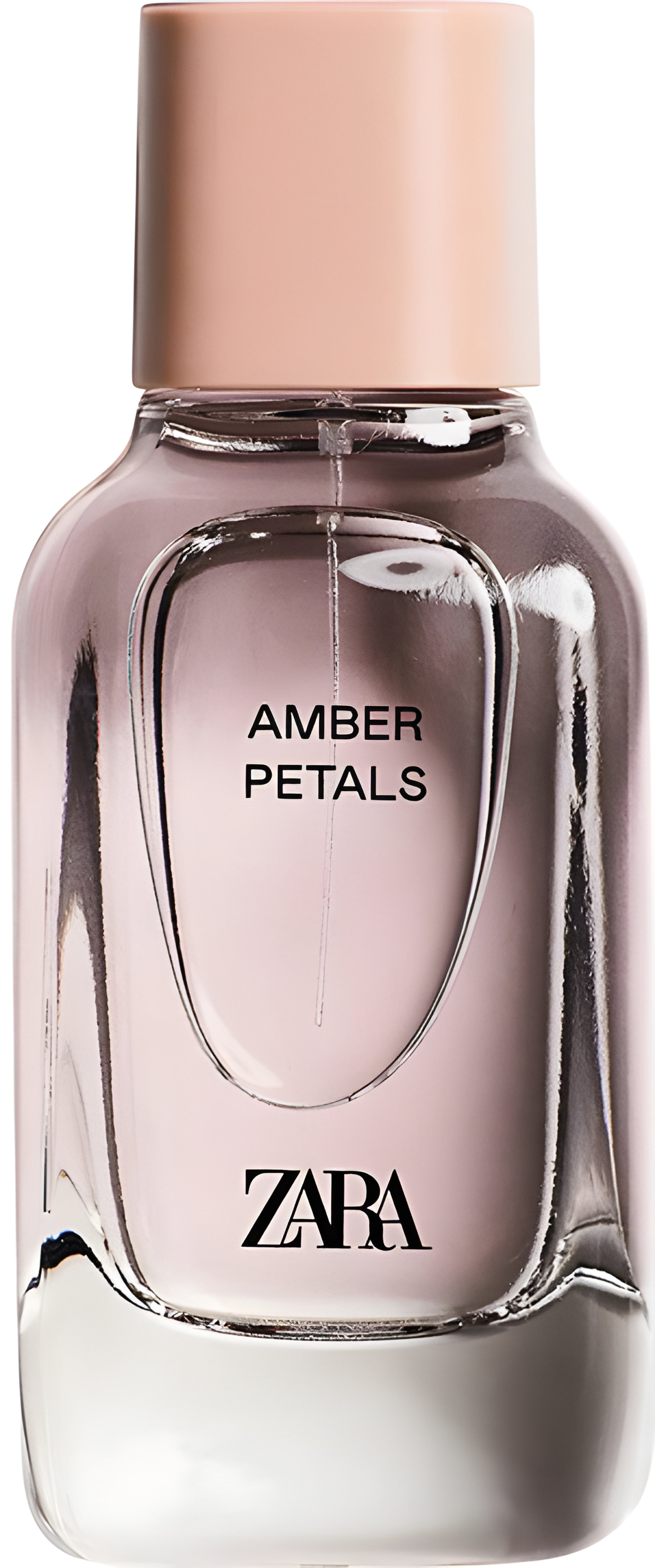 Picture of Amber Petals fragrance