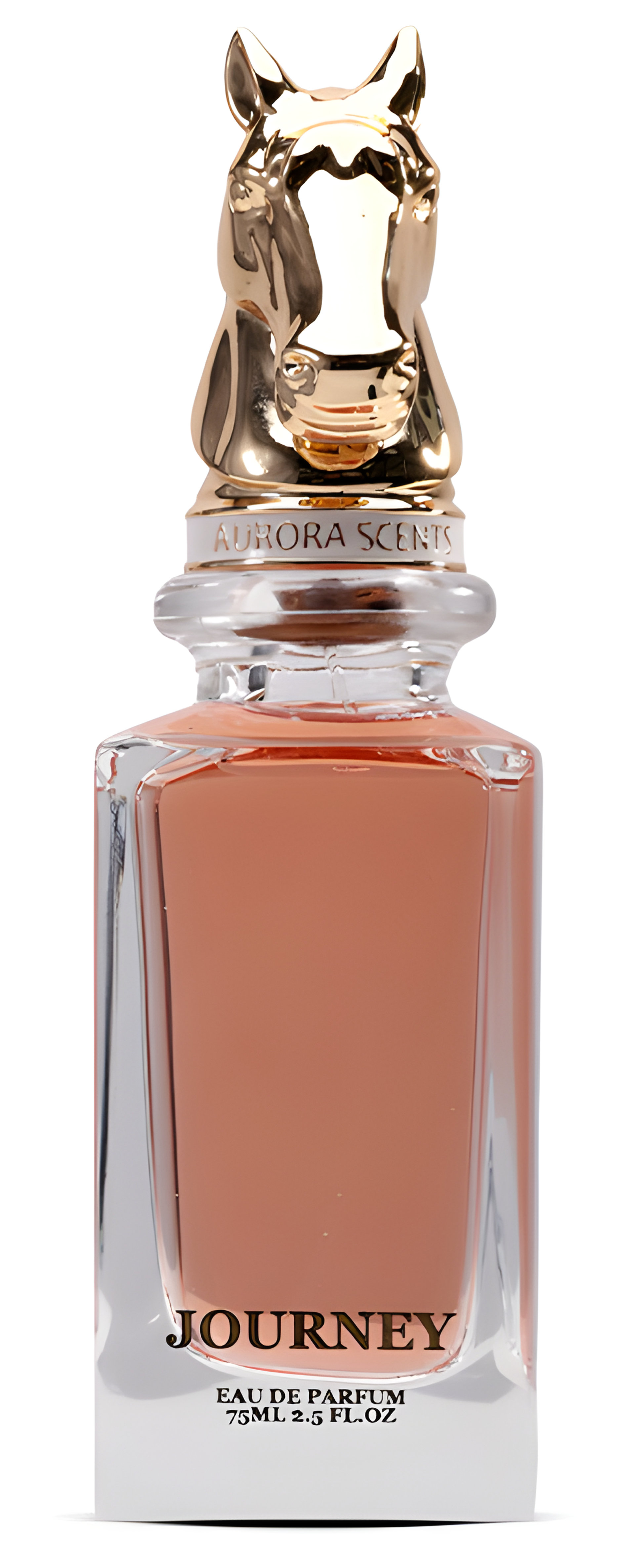 Picture of Journey fragrance