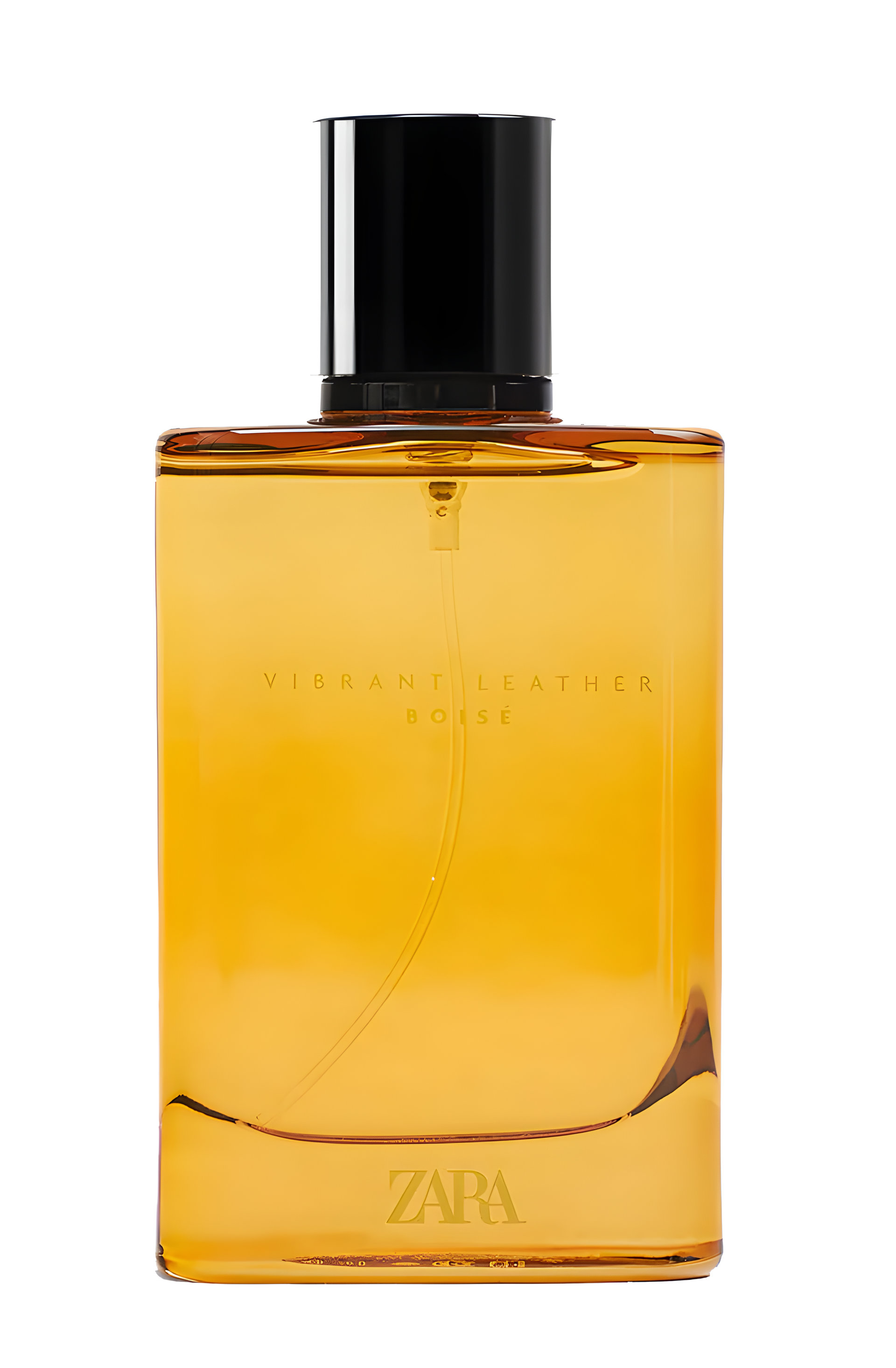 Picture of Vibrant Leather Boise fragrance