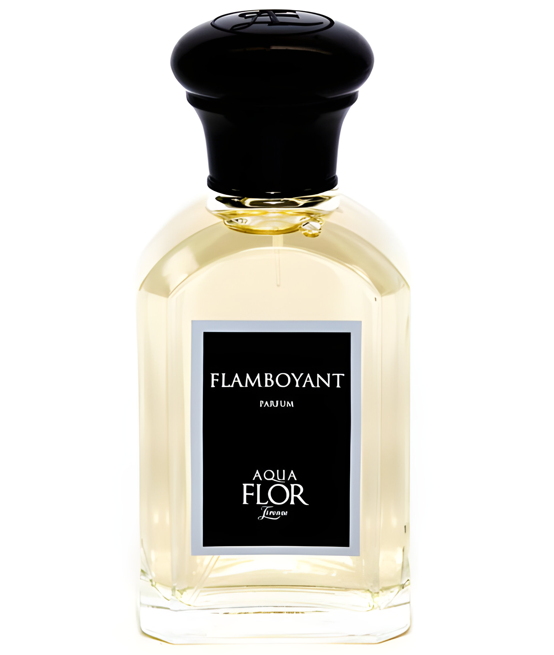 Picture of Flamboyant fragrance