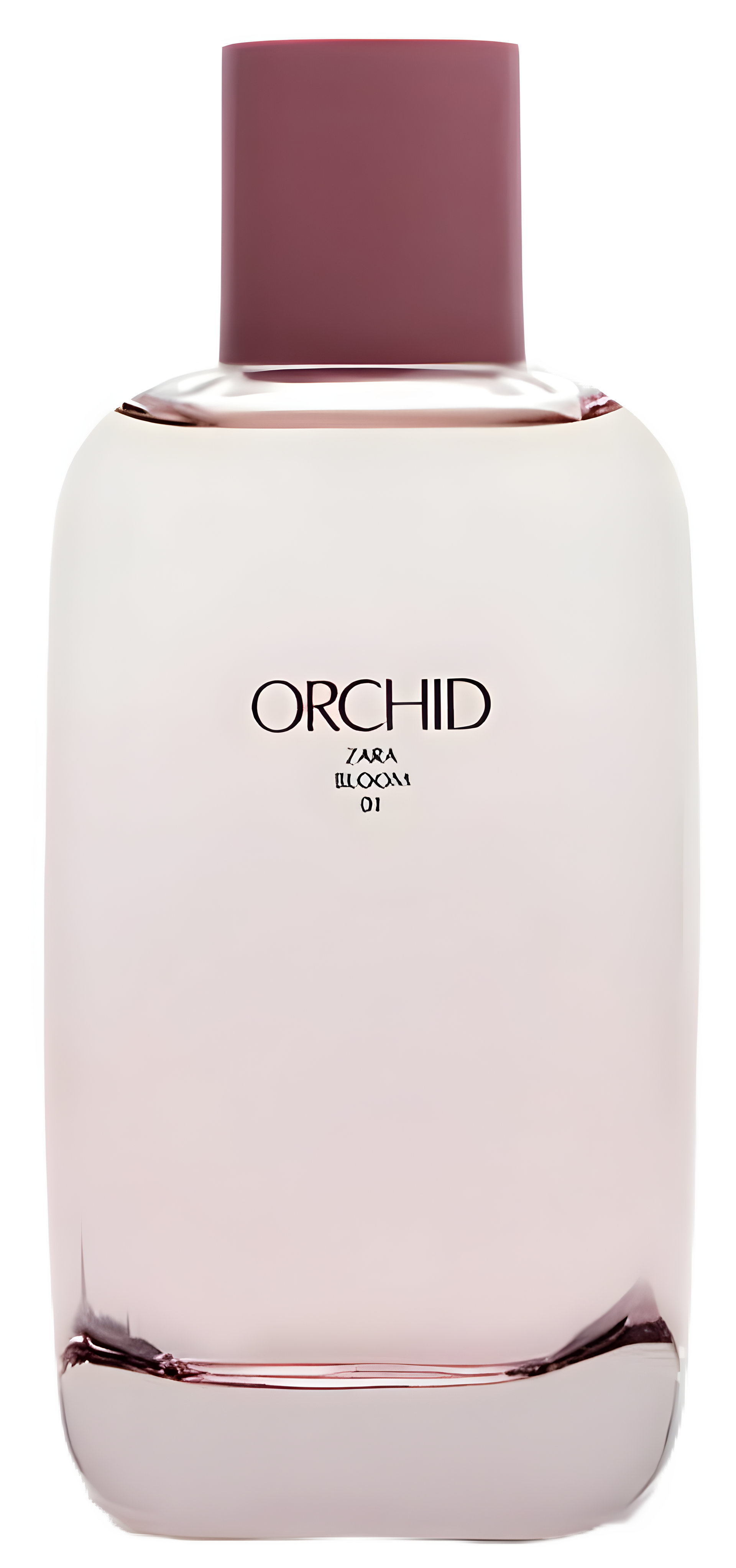 Picture of Orchid Bloom 01 fragrance