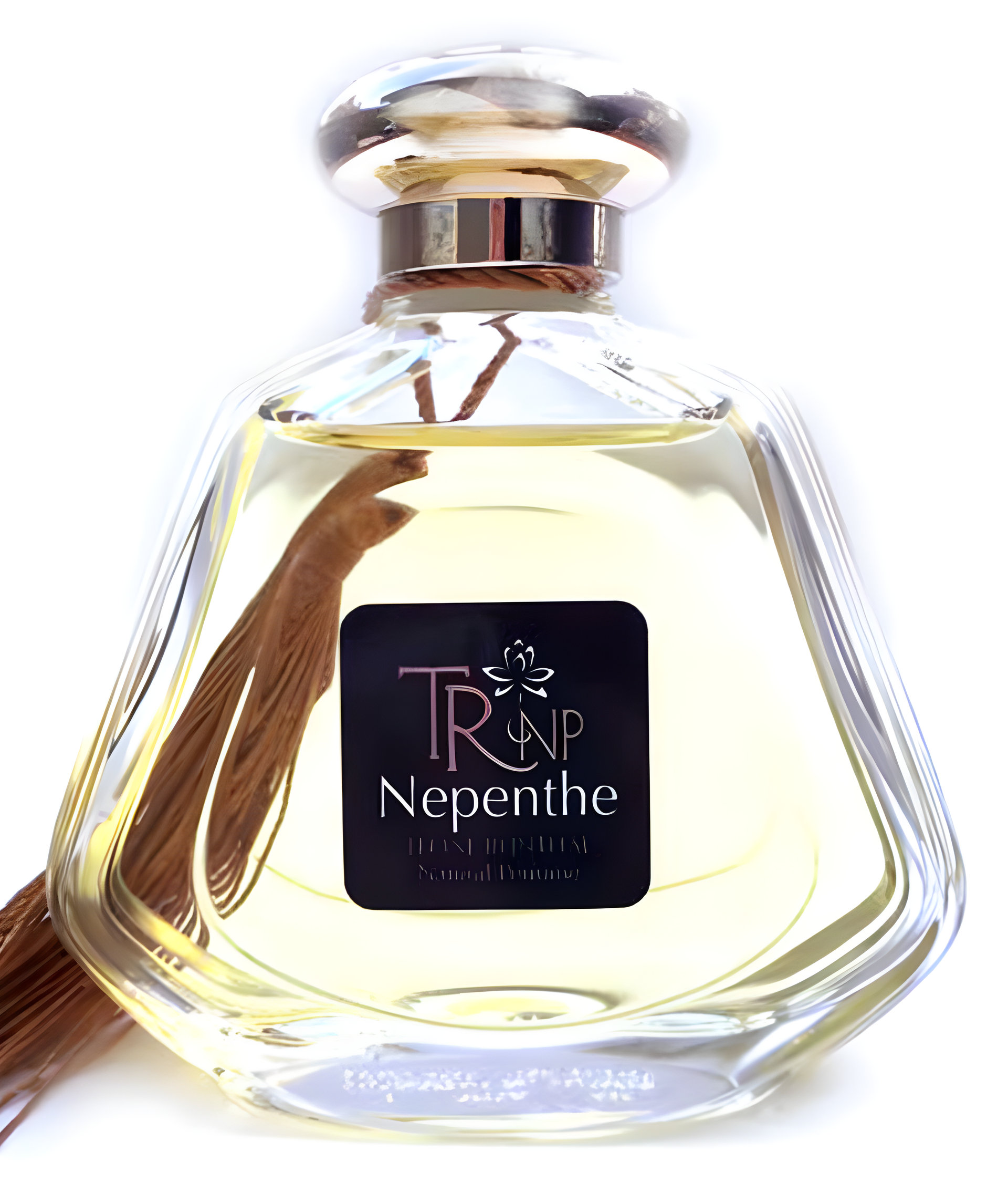 Picture of Nepenthe fragrance